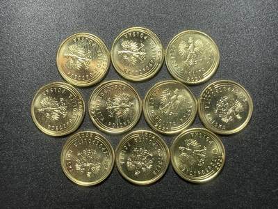 各个国家硬币专场1 波兰金色硬币10枚 1格罗希15.5mm 年份随机