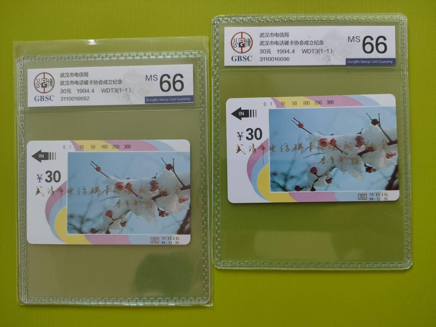 [3月15日奇珍异宝评级卡] 改版武汉卡协成立纪念—公博66分2枚（严评）