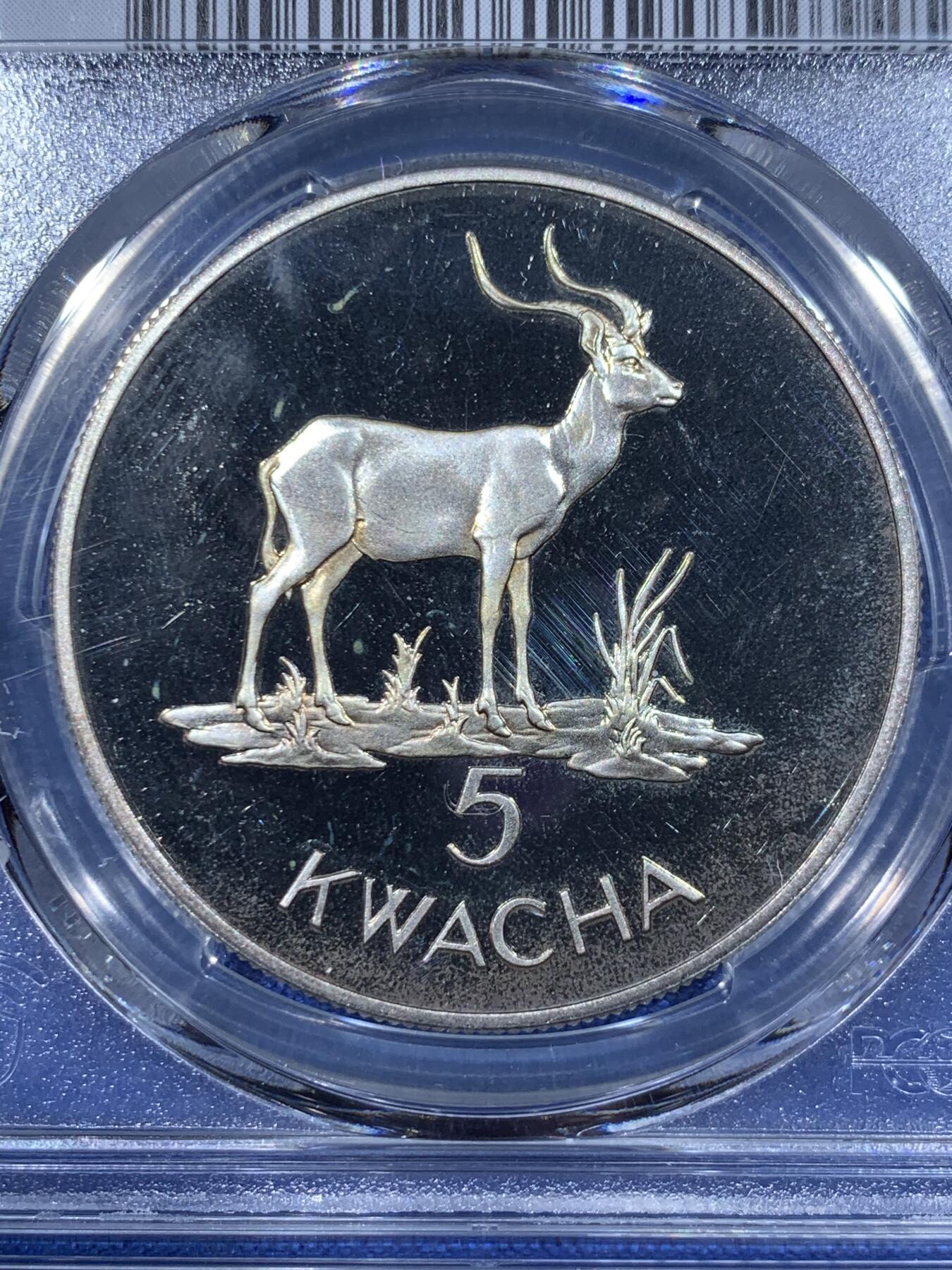 《竞宝斋》第362场 周日，周一，周二  3场连拍 （全场包邮） PCGS PR67DCAM 1979赞比亚5克瓦查 野生动物保护纪念银币 羚羊图案 富有非洲风情 DCAM挺不容易的