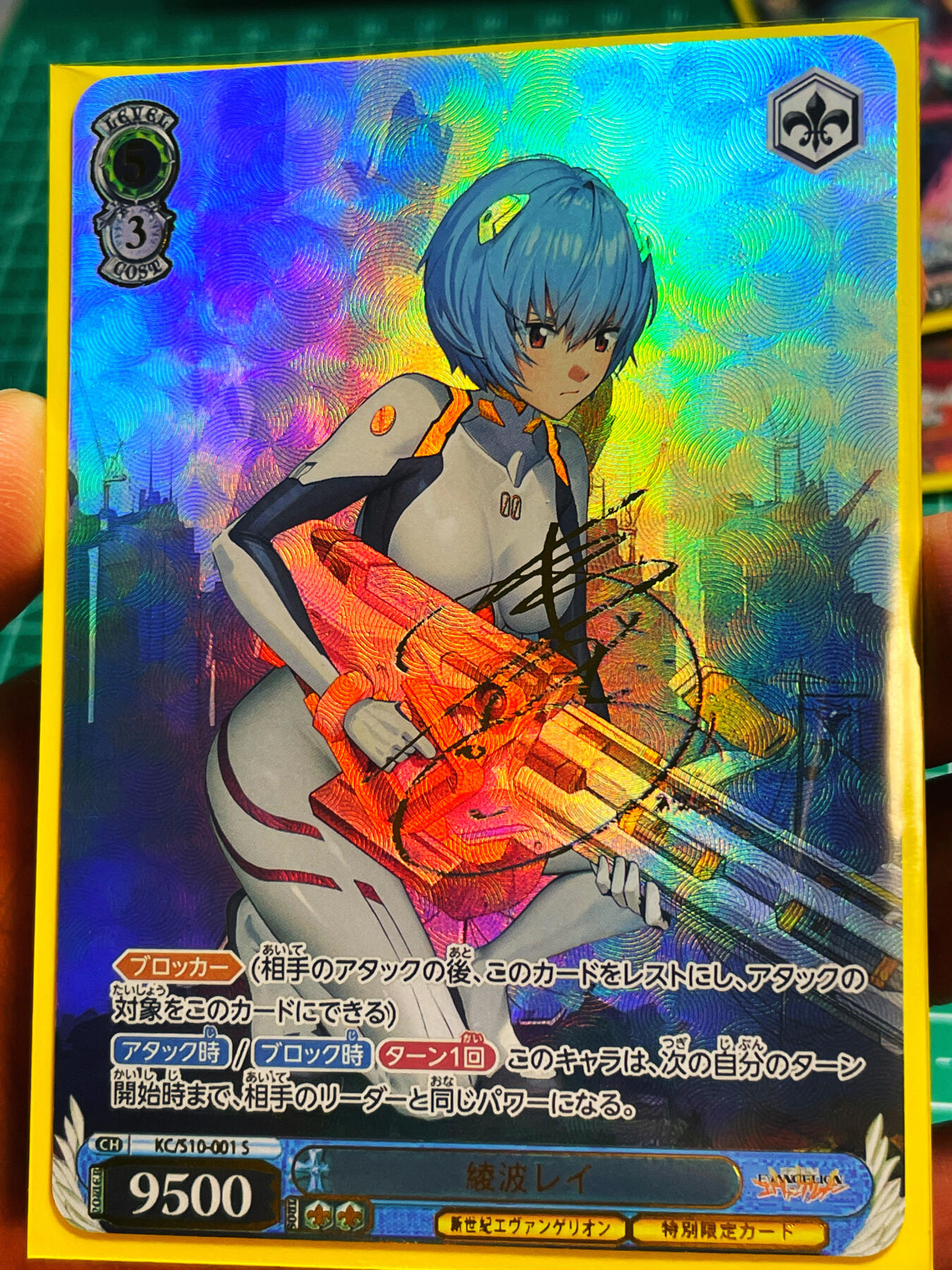 显眼宝第六期 私人收藏拍卖～