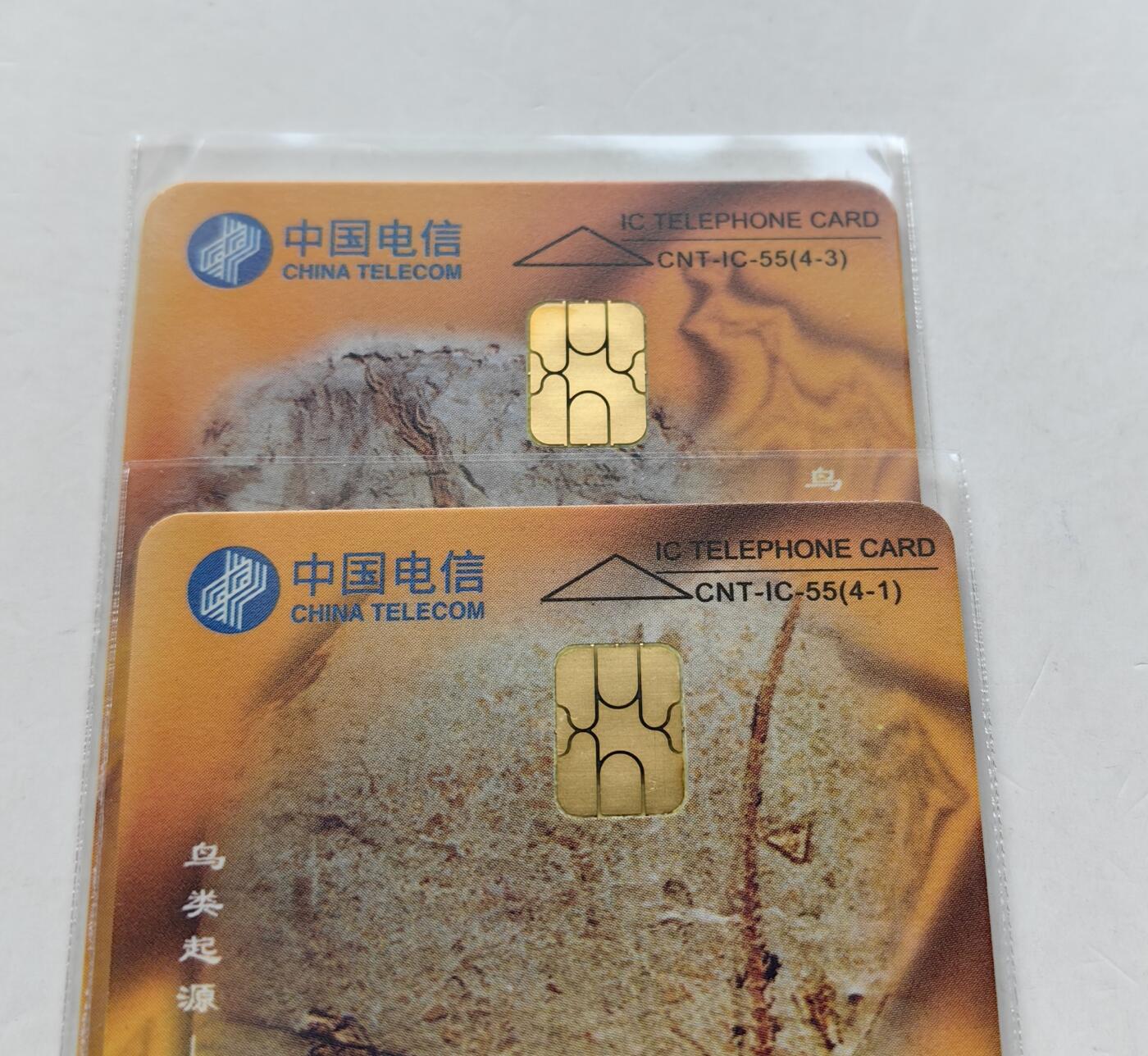 乐玩集藏第六七期电话卡综合场（3月18日20:00结拍） IC-55鸟化石 DZ版无封套 电总版年册新卡