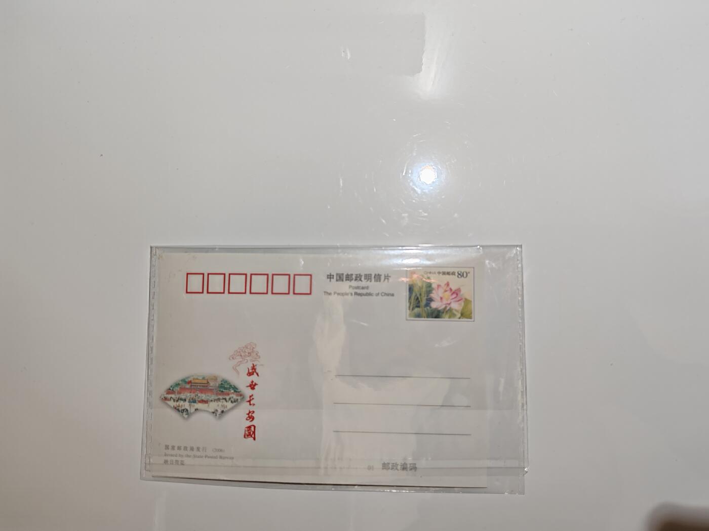 钞之韵  邮票场   映日荷花  明信片