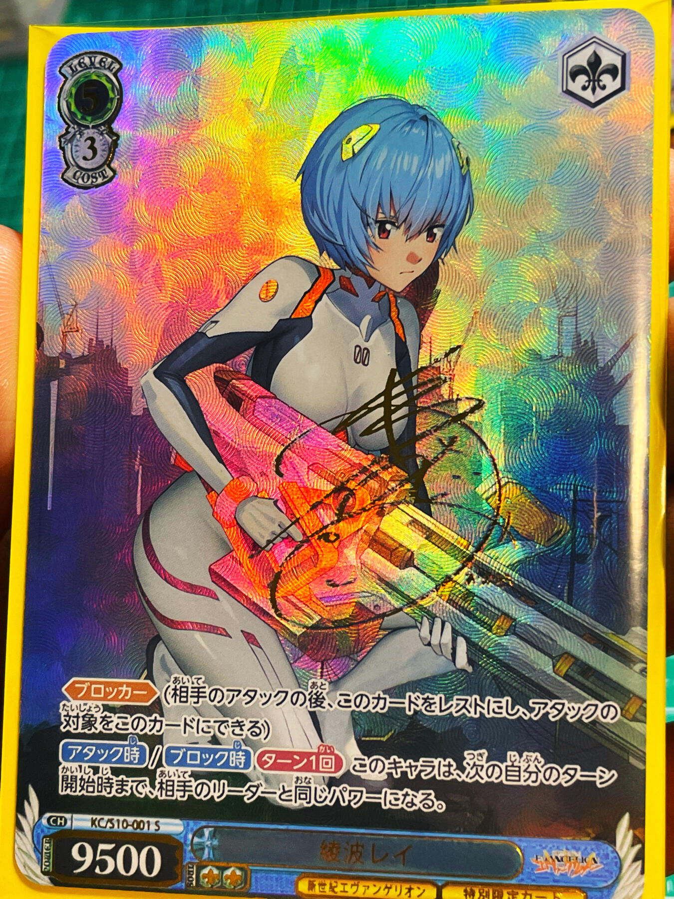 显眼宝第六期 私人收藏拍卖～