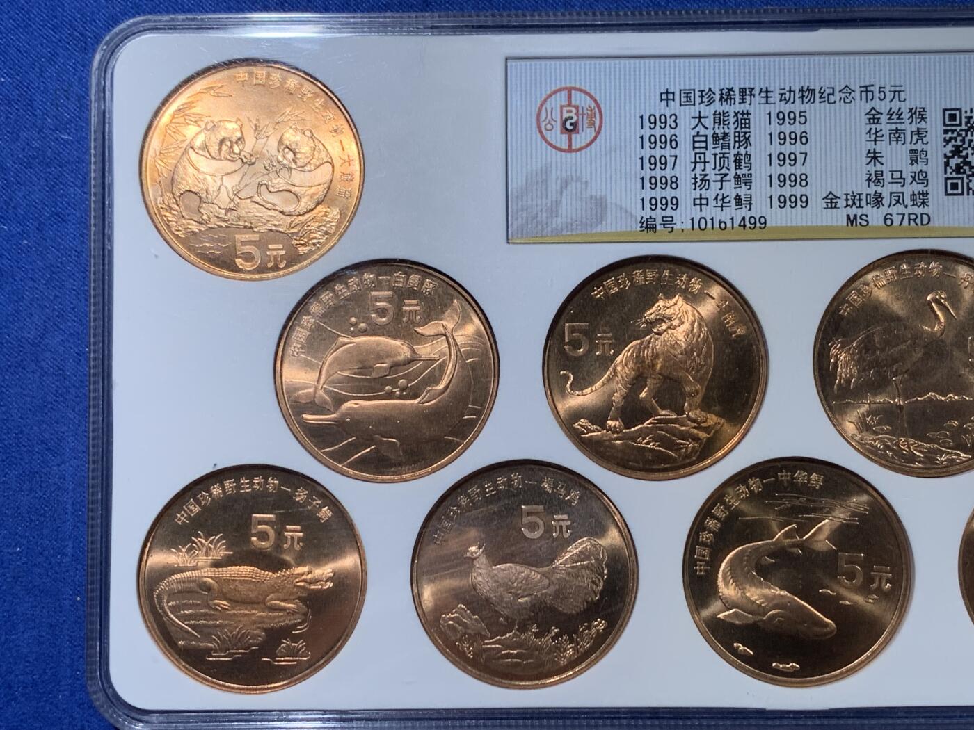 《竞宝斋》第363场 周日，周一，周二  3场连拍 （全场包邮） 公博 MS67RD 中国珍惜野生动物5元纪念币10枚装