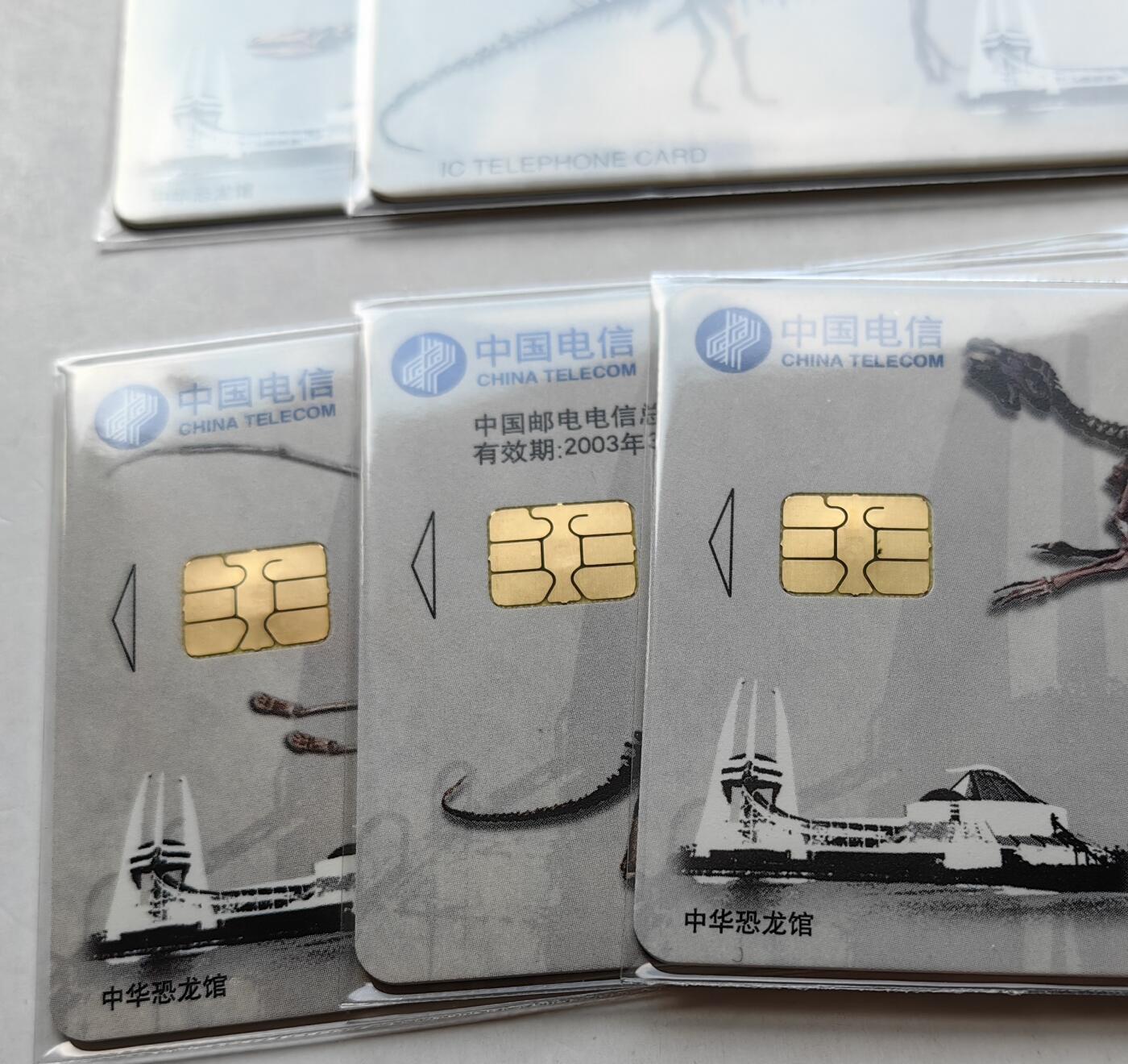 乐玩集藏第六七期电话卡综合场（3月18日20:00结拍） IC-51中华恐龙 DZ版无封套 电总版年册新卡