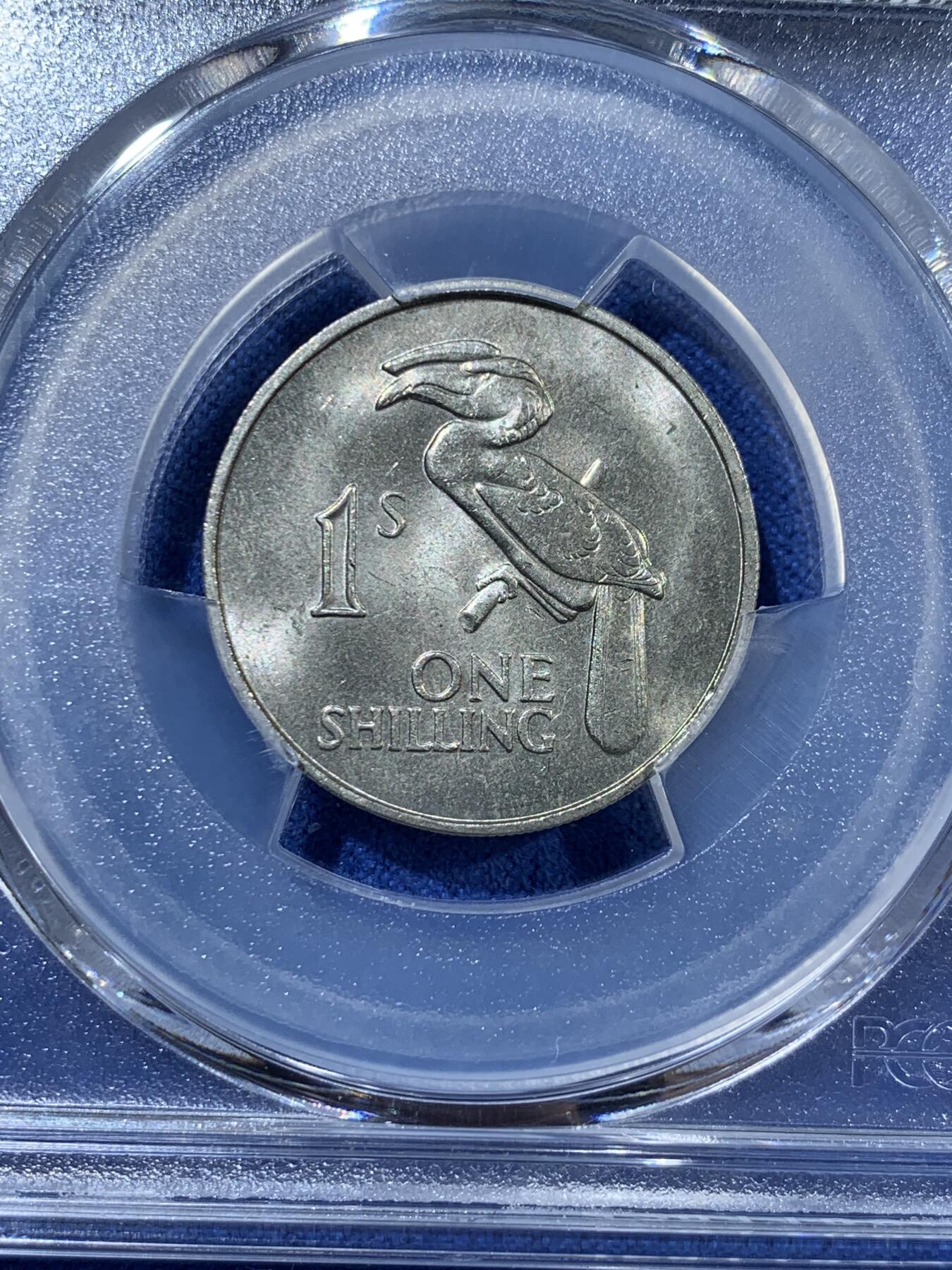 《竞宝斋》第363场 周日，周一，周二  3场连拍 （全场包邮） PCGS MS65 高分！ 1964赞比亚1先令 热门非洲品种 巨嘴鸟图案很有特色 卷拆品 少见
