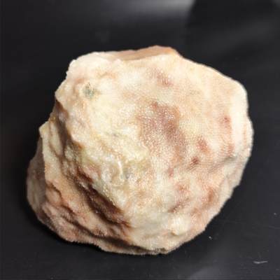 希腊罗马丝路打制币化石【中外钱币放漏】专场！陆小鱼的钱币仓，限时拍卖第054场 - 【精品】4.5亿年前奥陶纪时期古生物化石 菊花纹珊瑚玉化石 质地细腻 玉化程度非常好 比恐龙化石还早 非常不错的化石标本摆件 1758g