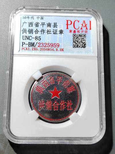 PCAI钱币 19-274钱币小专场 - 广西平南证章