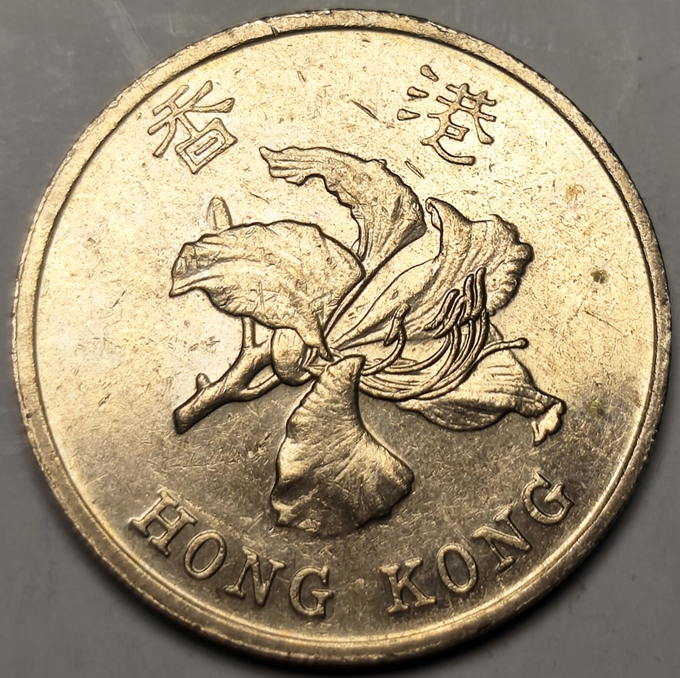 泉币菌-第10场-中外散币乐园 紫荆花版 港港壹圆 镍币