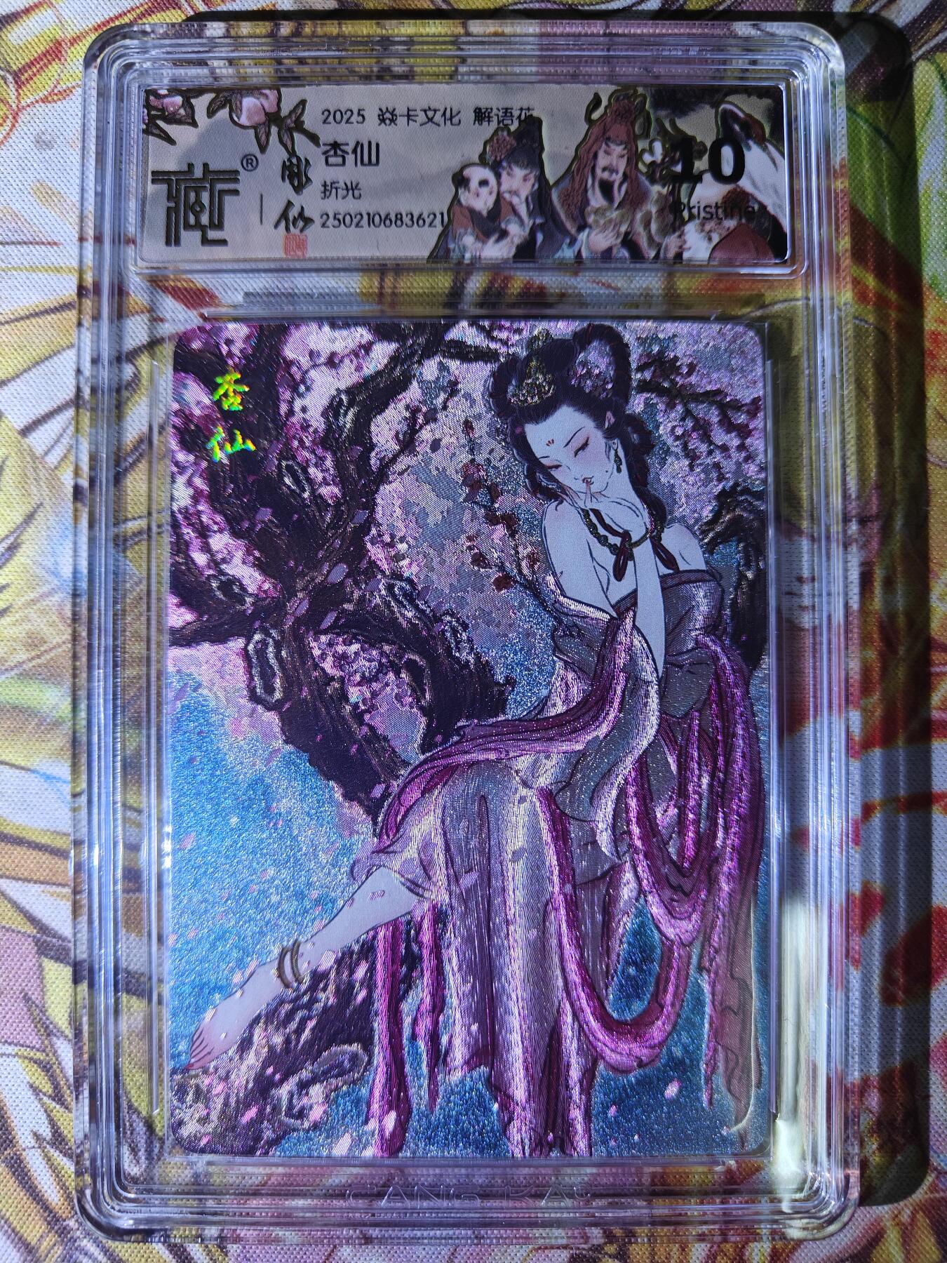 天玑星卡拍第七十八期《进来看看呗》持续收拍收评中 满赠三娘需备注 焱卡文化 解语花 杏仙 折光 CCG10