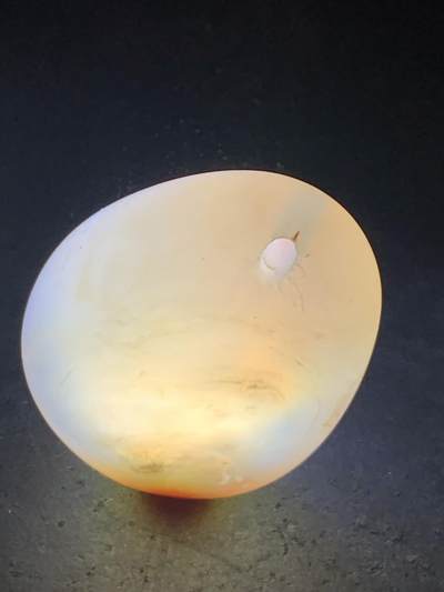 放福利！精美冰透高玉化朱砂点缠丝玛瑙原石吊坠一块 放福利！精美冰透高玉化朱砂点缠丝玛瑙原石吊坠一块