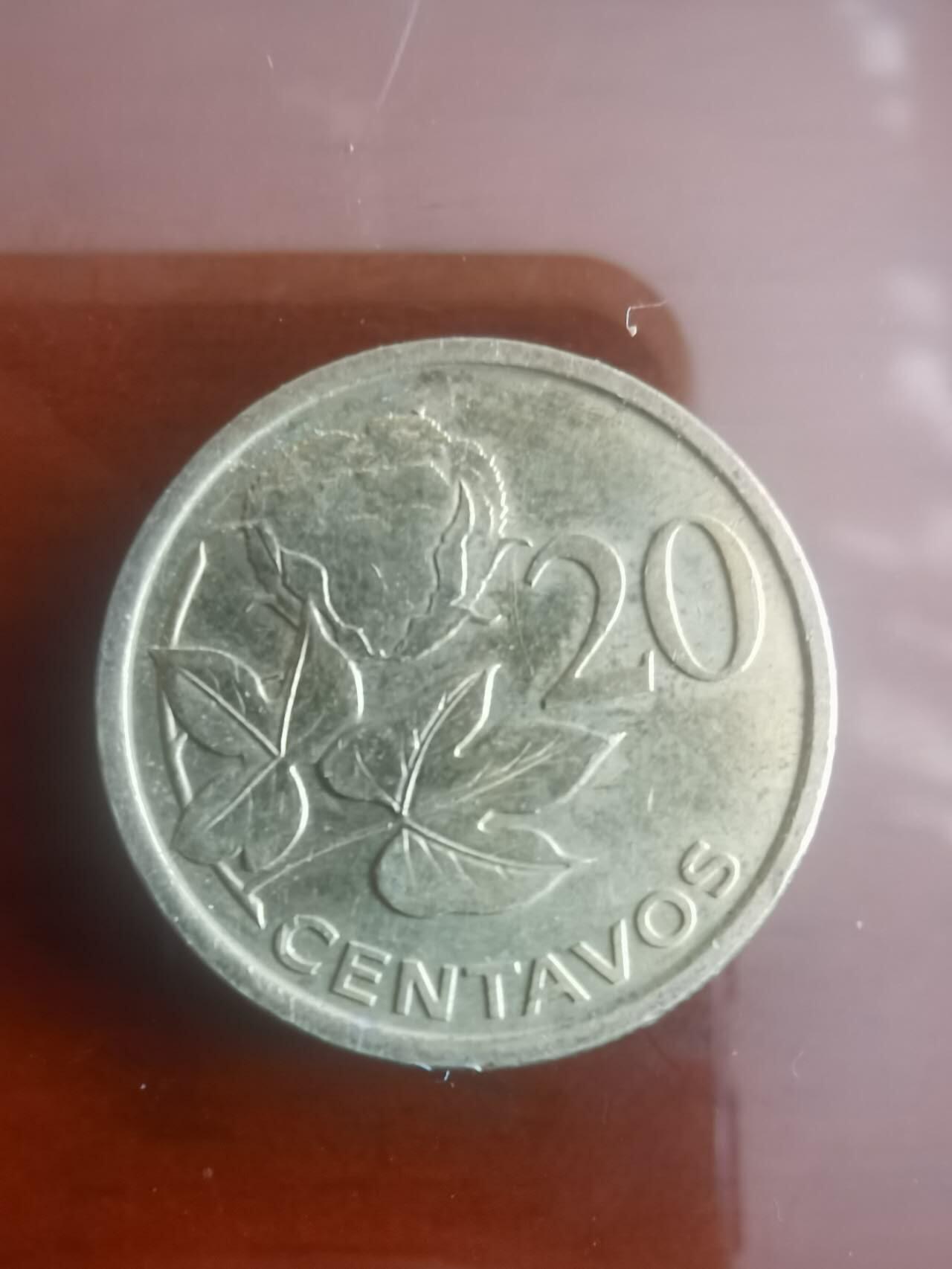 以梦为马第5拍 莫桑比克🇲🇿，少见