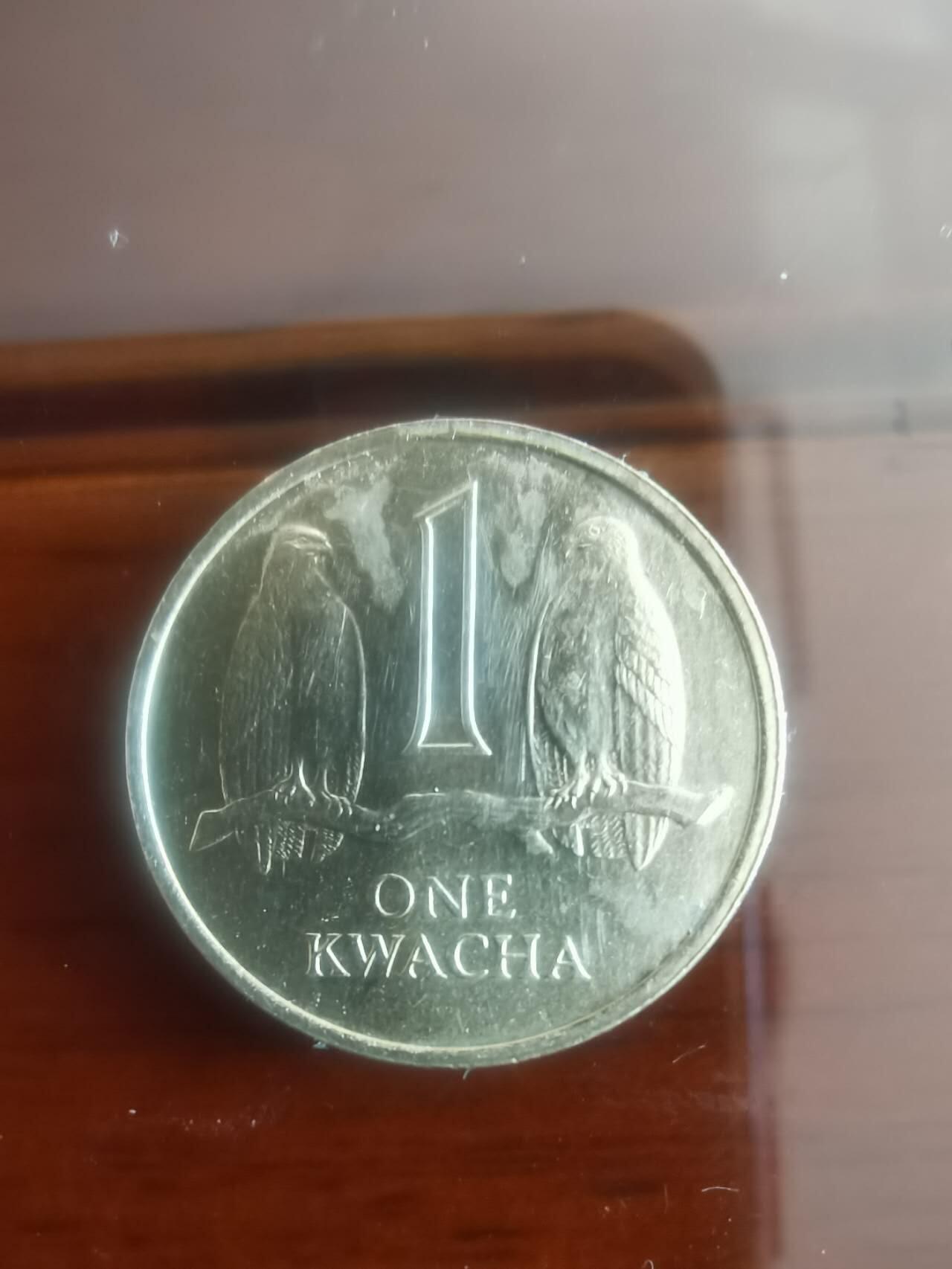 以梦为马第5拍 赞比亚🇿🇲，稀少