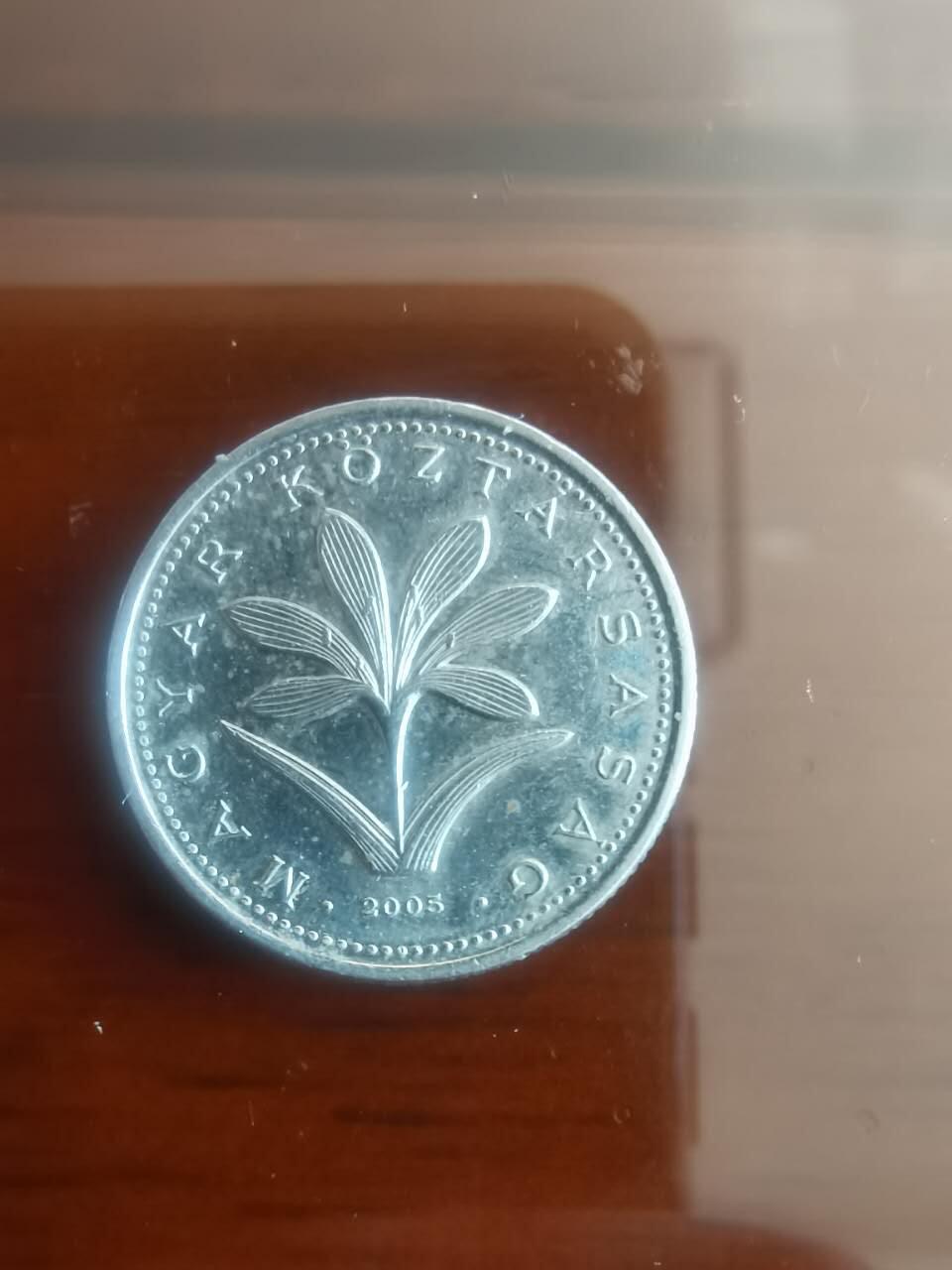以梦为马第5拍 匈牙利🇭🇺