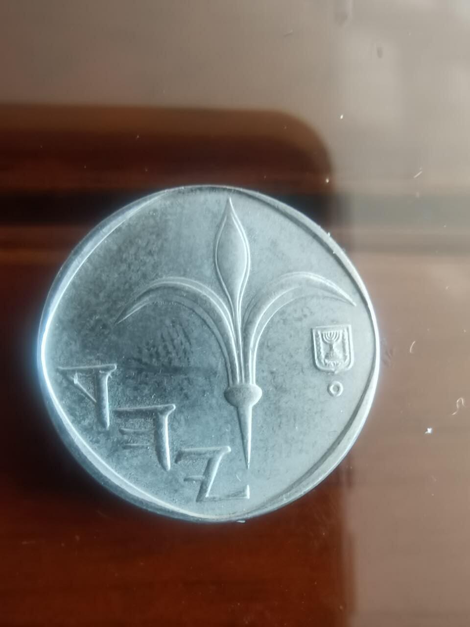 以梦为马第5拍 以色列🇮🇱
