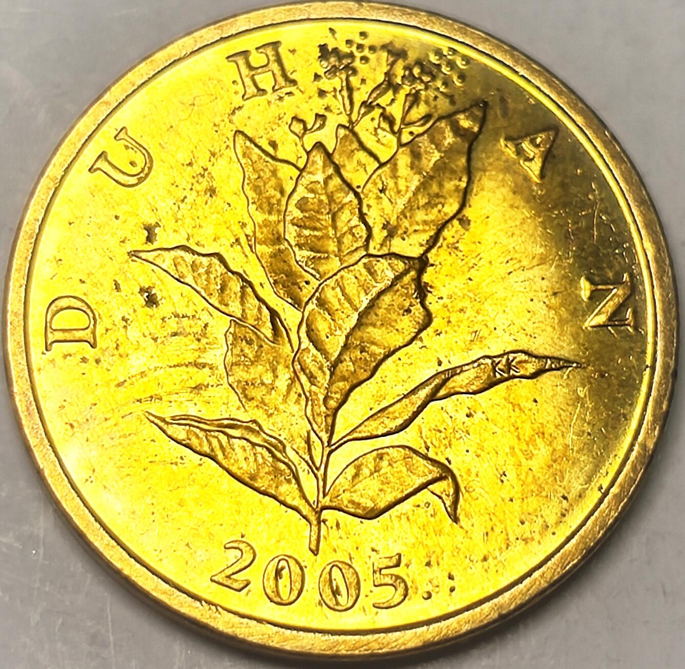 泉币菌-第11场-中外散币乐园 原光美品 克罗地亚2005年10利帕 烟草