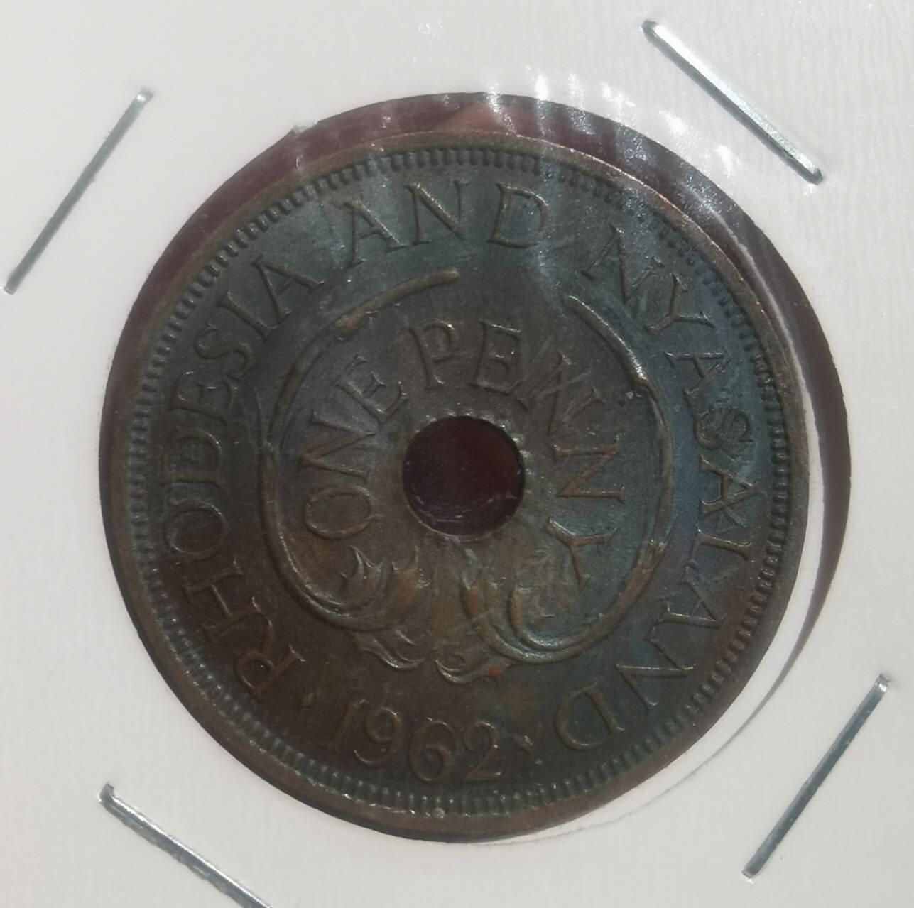以梦为马第5拍 1962年南罗德西亚大象🐘