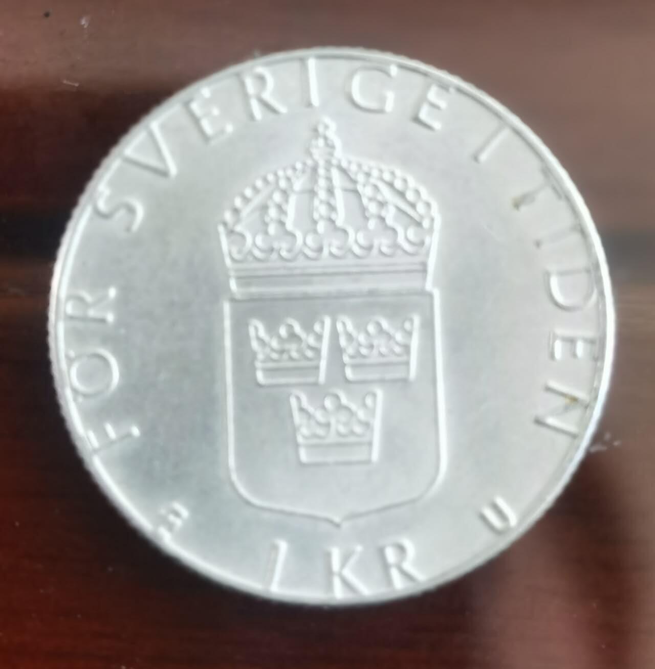 以梦为马第5拍 瑞典🇸🇪
