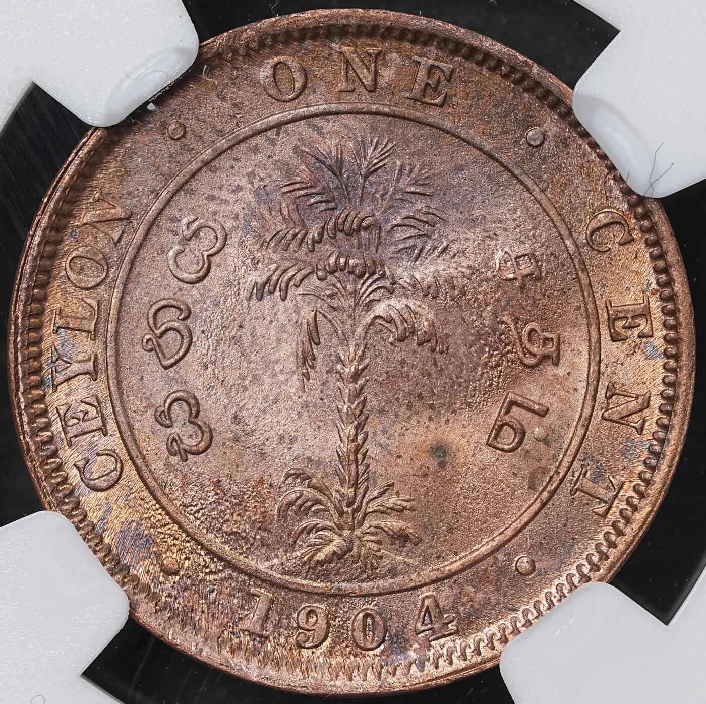 修遠堂世界钱币第六十二期 NGC MS64RB 1904年英属锡兰1分铜币