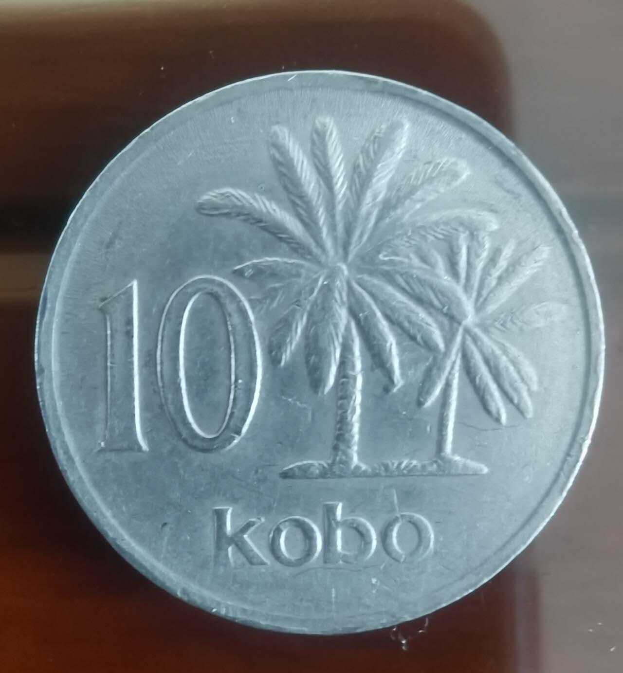 以梦为马第5拍 尼日利亚🇳🇬