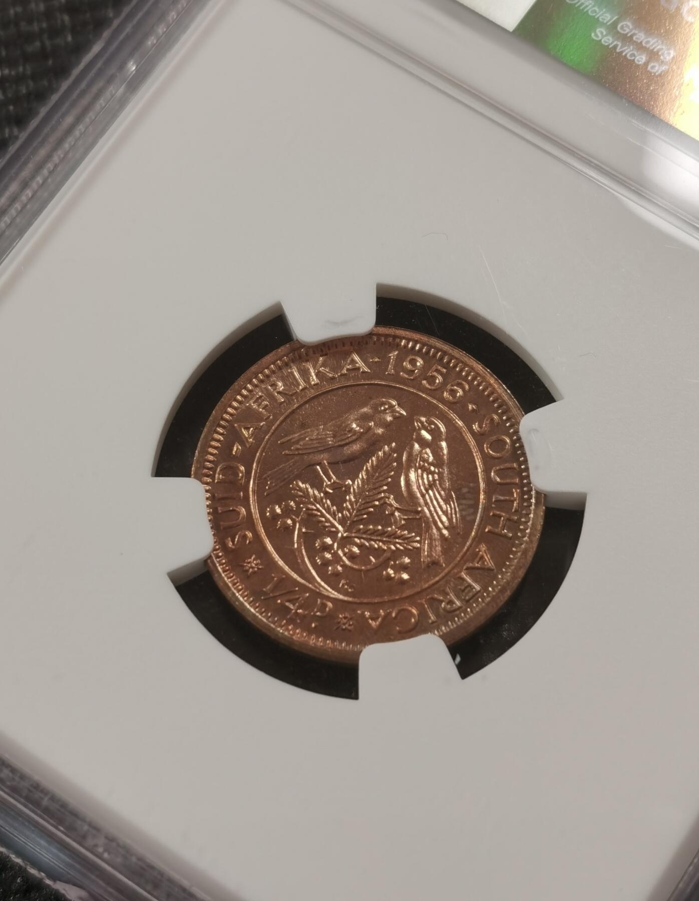 甄臻铺-世界钱币拍卖-南非西非东非专场（第10期）送拍享返佣金等优惠多多 NGC-PF66 英属南非 1956 1/4便士 精制 原味包浆，币面转光