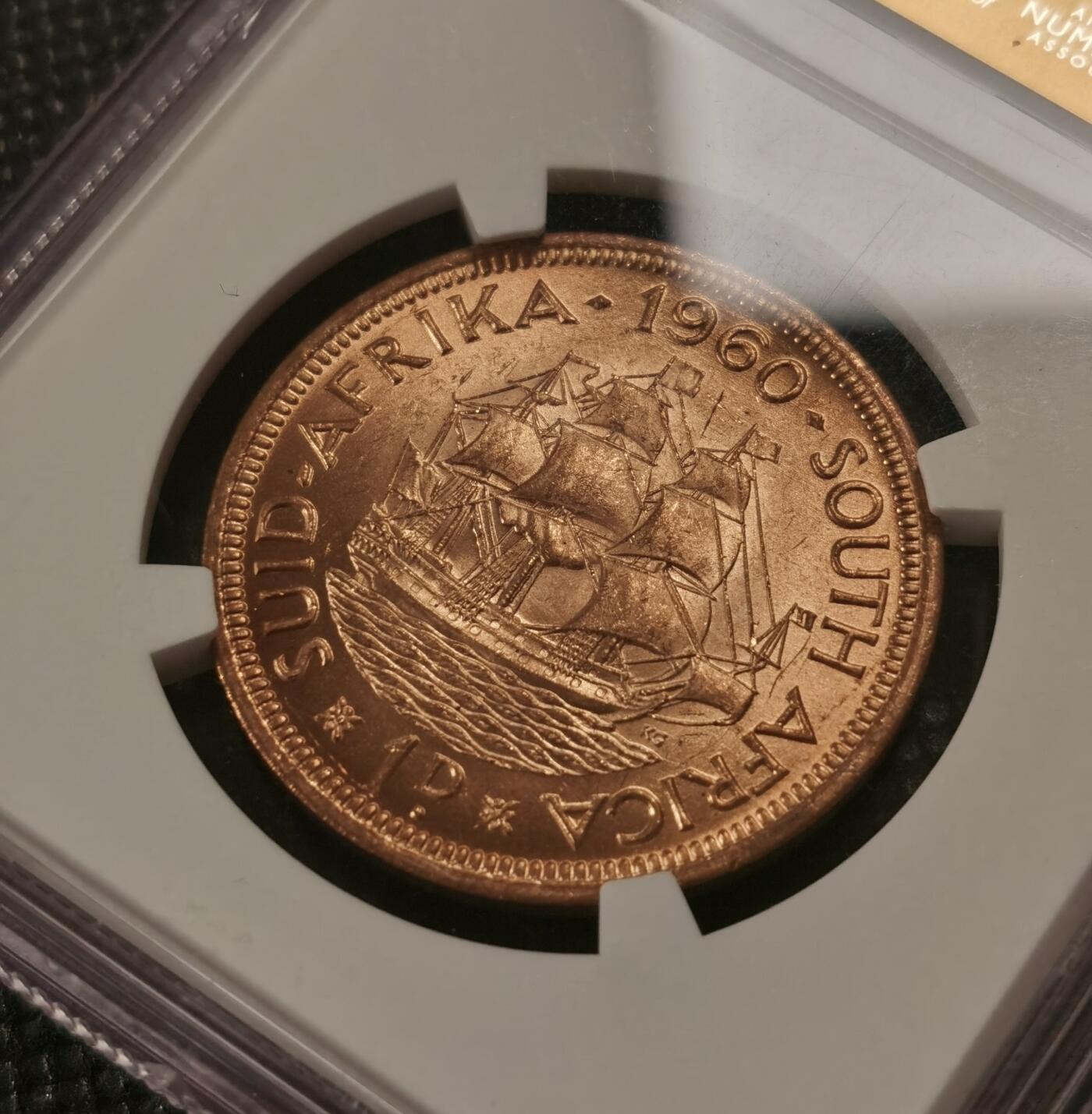 甄臻铺-世界钱币拍卖-南非西非东非专场（第10期）送拍享返佣金等优惠多多 NGC-MS65 英属南非 1960 1便士 原味包浆，币面漂亮