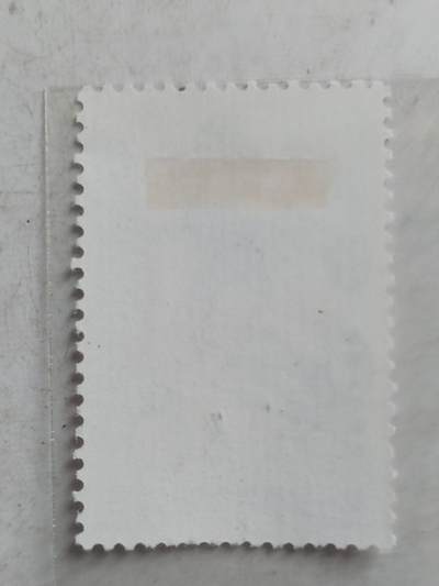 邮票专场 1963年 第一届新兴力量运动会纪念邮票。