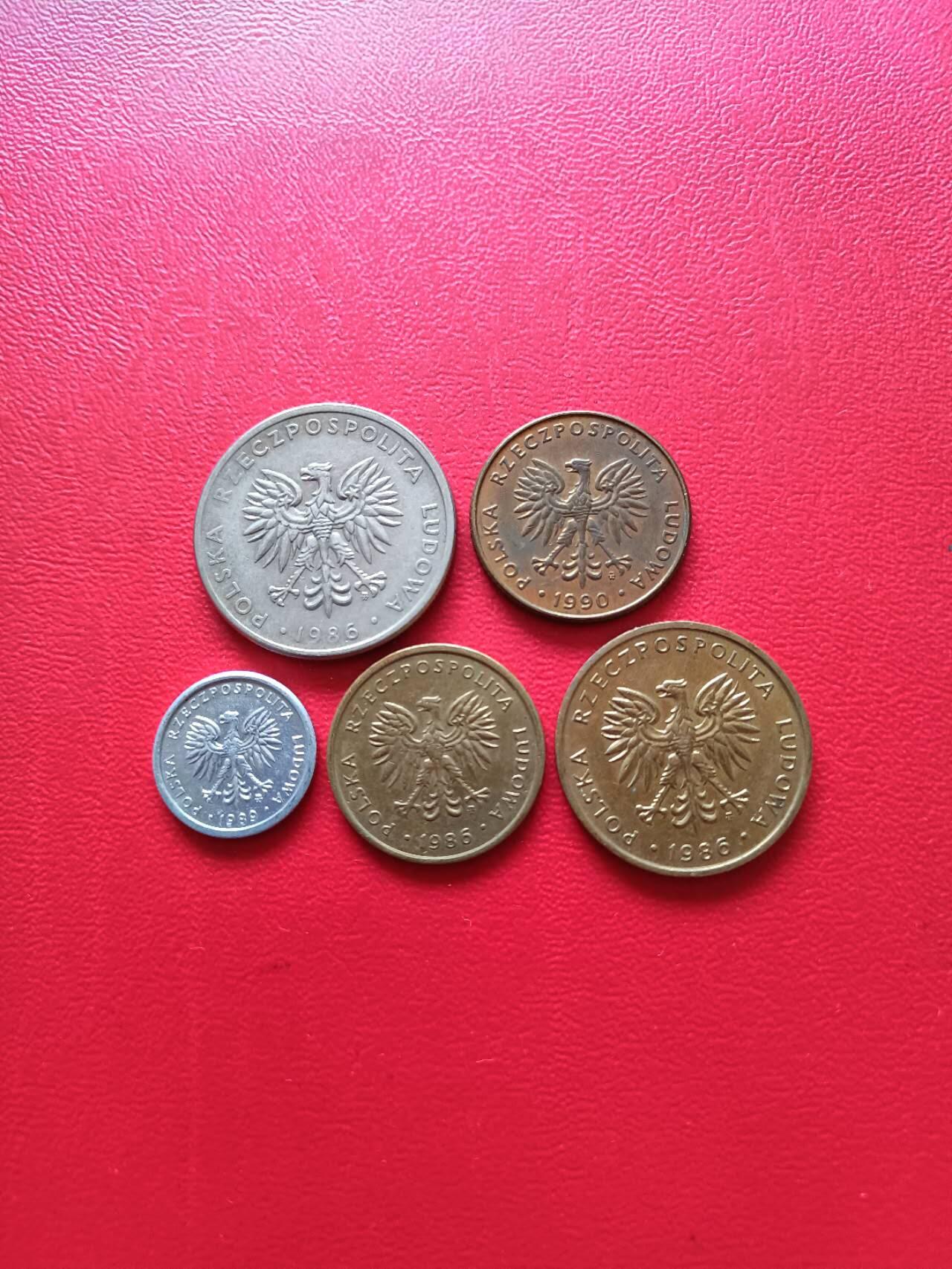 【云涧收藏】第九场