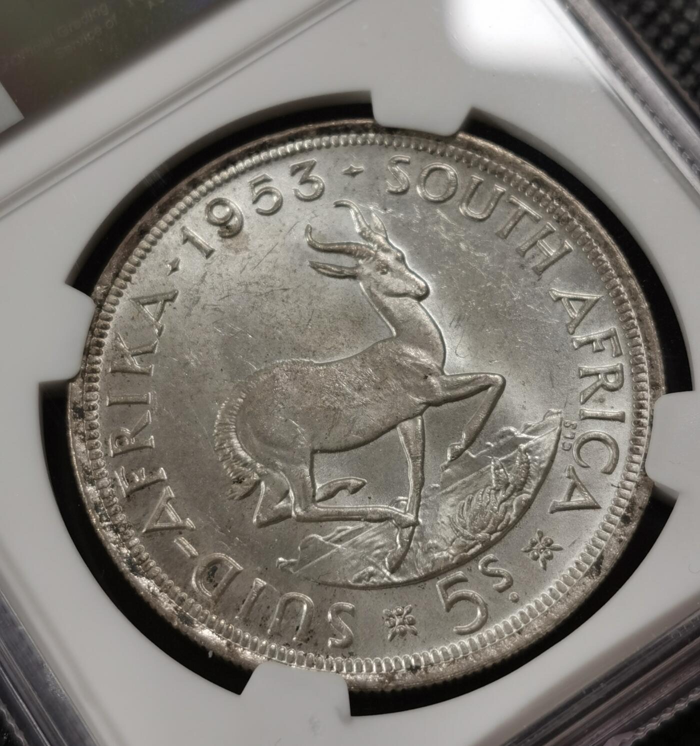甄臻铺-世界钱币拍卖-南非西非东非专场（第10期）送拍享返佣金等优惠多多 NGC-MS63 英属南非 1953 5先令 银币 原味包浆，币面漂亮