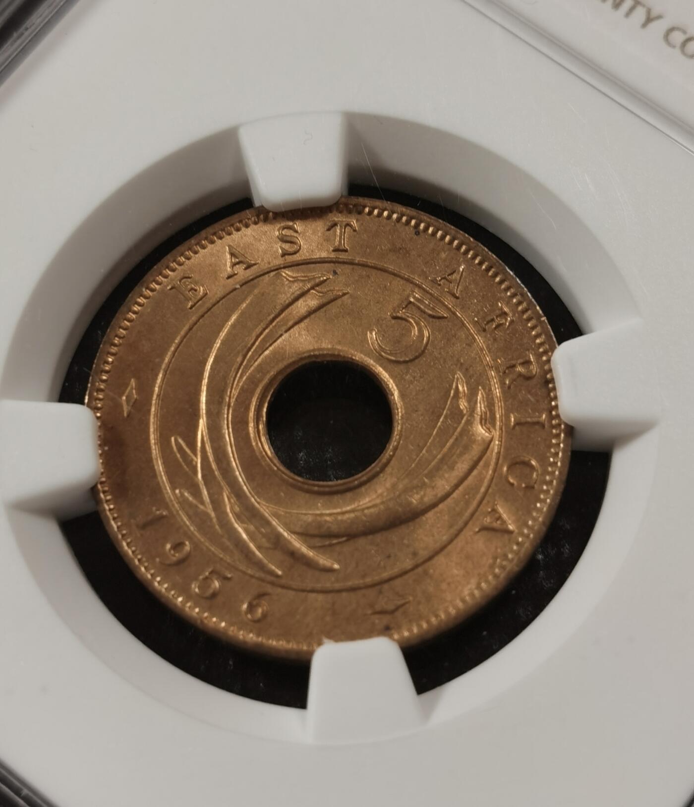 甄臻铺-世界钱币拍卖-南非西非东非专场（第10期）送拍享返佣金等优惠多多 NGC-MS65 英属东非 1956 H版 5分 原味包浆，币面漂亮