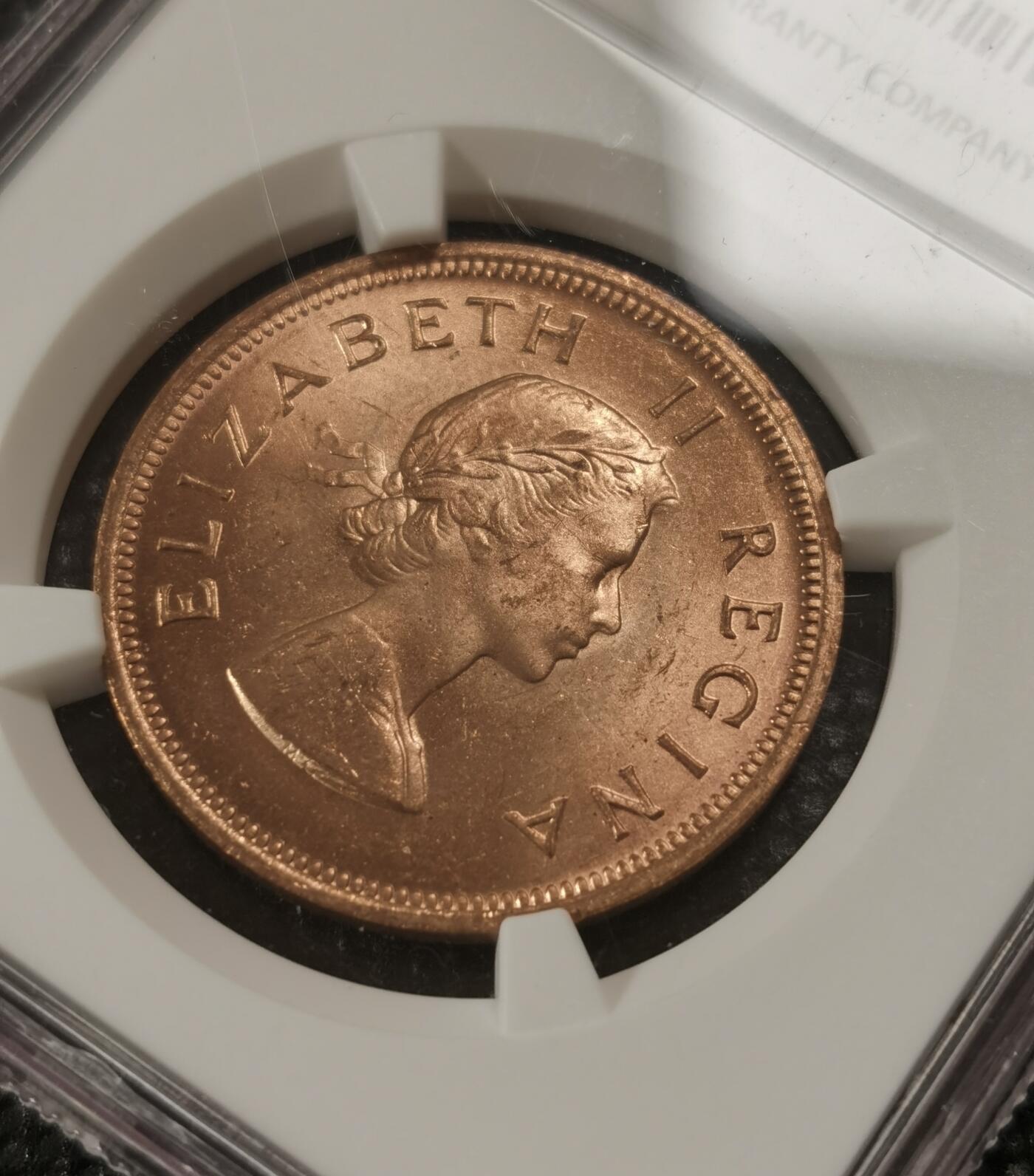 甄臻铺-世界钱币拍卖-南非西非东非专场（第10期）送拍享返佣金等优惠多多 NGC-MS64 英属南非 1960 1便士 原味包浆，币面漂亮