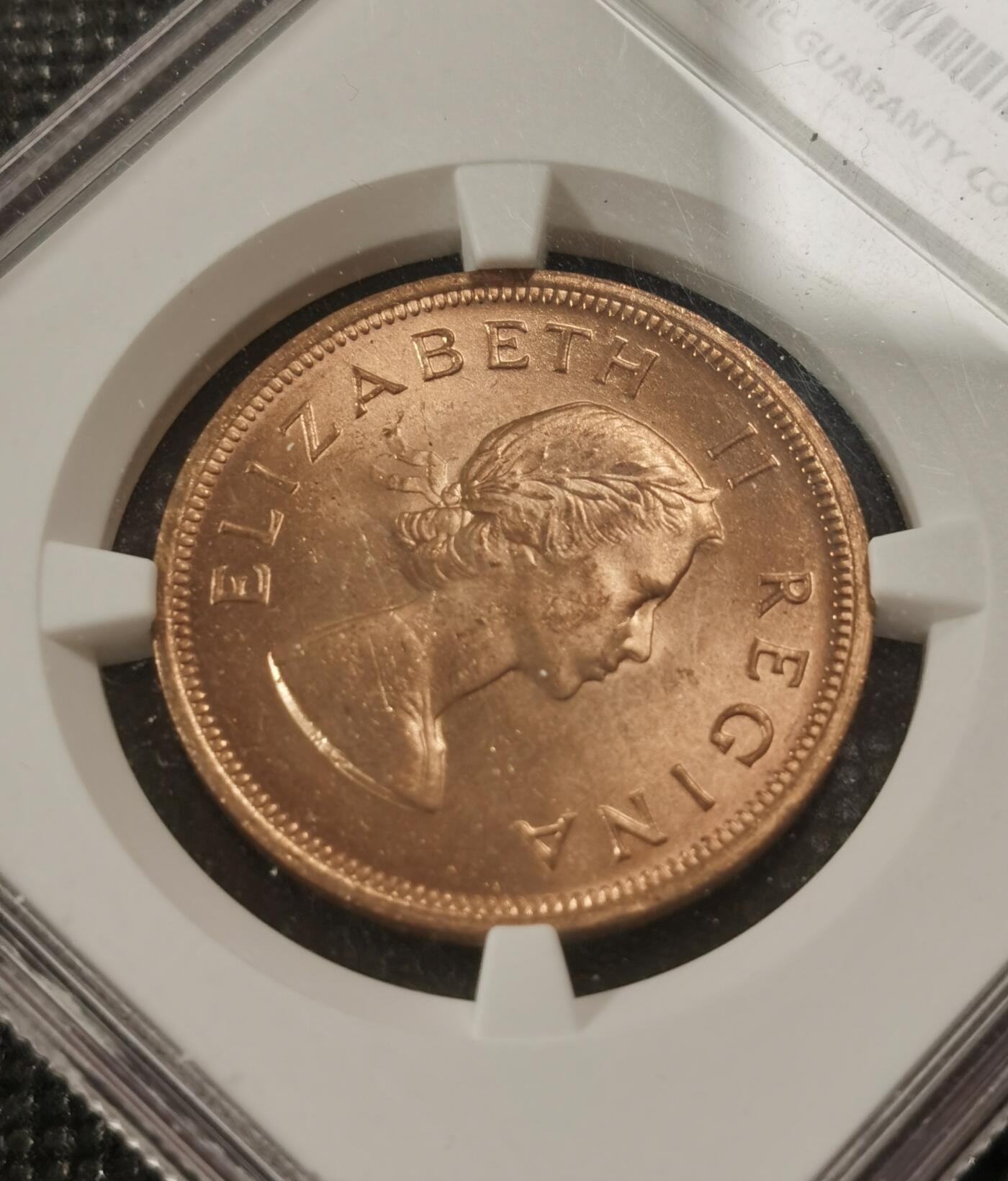 甄臻铺-世界钱币拍卖-南非西非东非专场（第10期）送拍享返佣金等优惠多多 NGC-MS65 英属南非 1960 1便士 原味包浆，币面漂亮