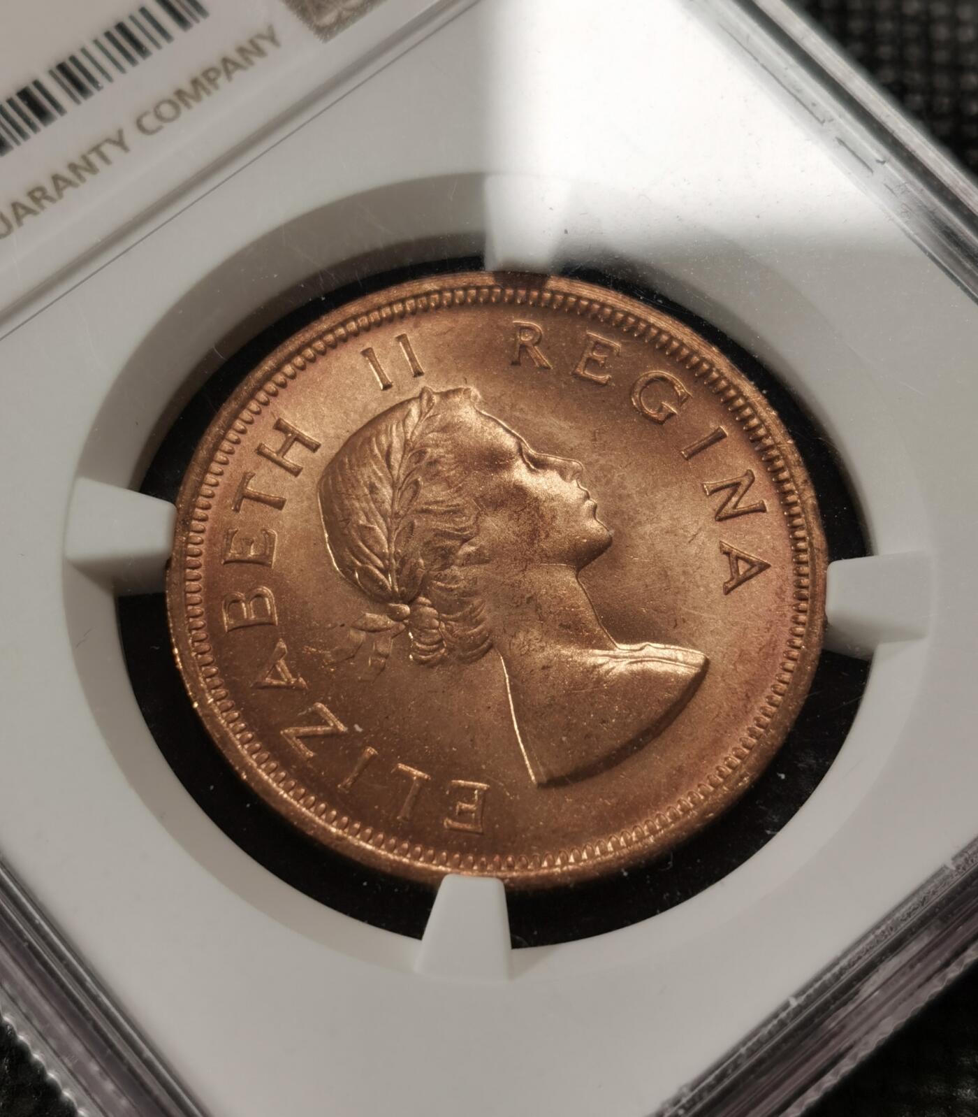 甄臻铺-世界钱币拍卖-南非西非东非专场（第10期）送拍享返佣金等优惠多多 NGC-MS65 英属南非 1960 1便士 原味包浆，币面漂亮