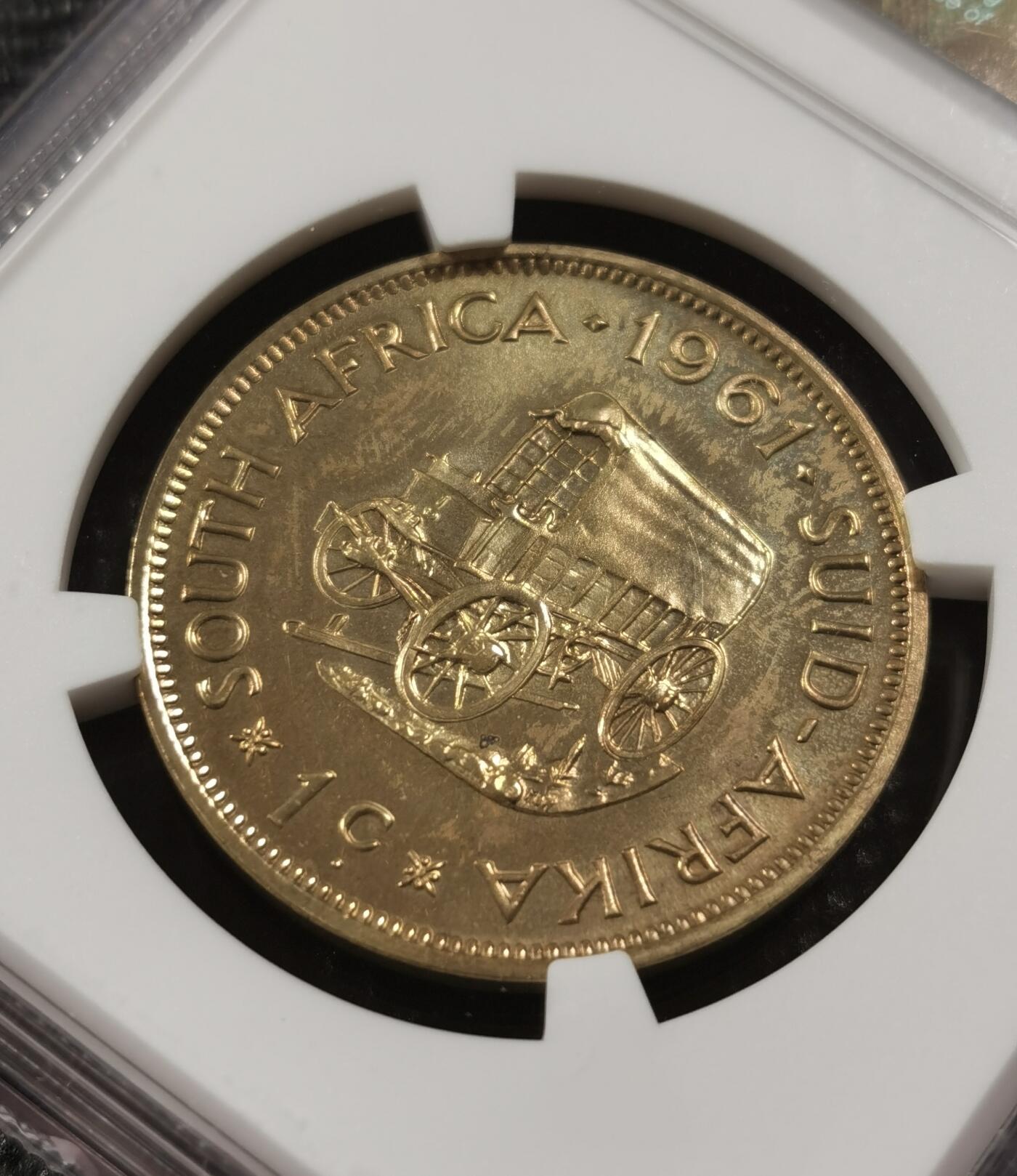 甄臻铺-世界钱币拍卖-南非西非东非专场（第10期）送拍享返佣金等优惠多多 NGC-PF63 南非 1961 1分 吕贝克首年精制铜币 币面转光，少见