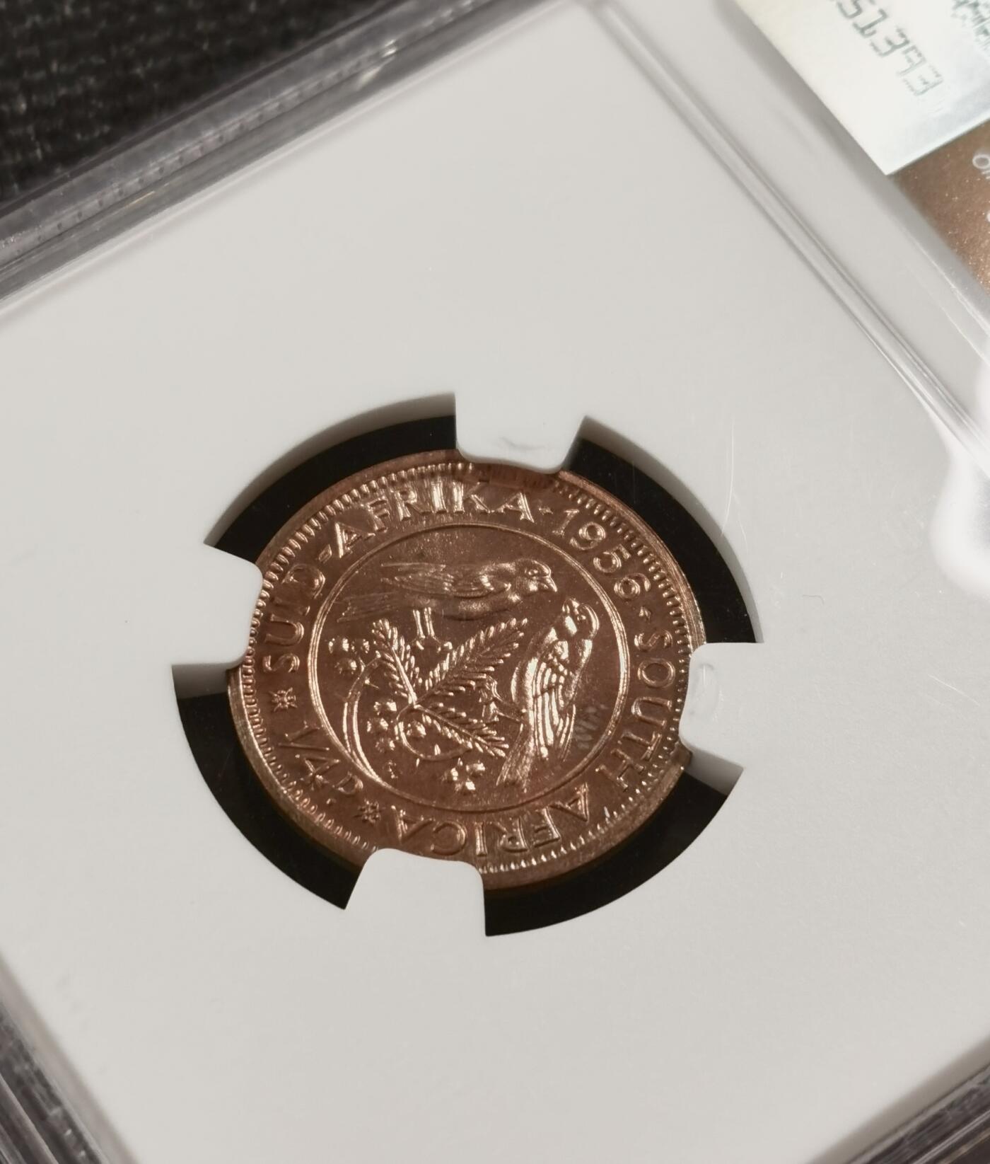 甄臻铺-世界钱币拍卖-南非西非东非专场（第10期）送拍享返佣金等优惠多多 NGC-PF66 英属南非 1956 1/4便士 精制 原味包浆，币面转光