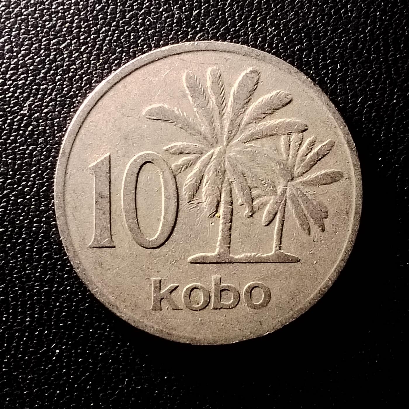 20250321 尼日利亚