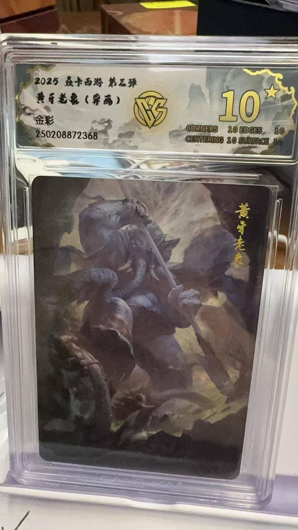 夜之极第九期 （3月22日周六晚10点入群参与福利活动） 2025 焱卡西游 第三弹 黄牙老象（异画） 金彩 10星
