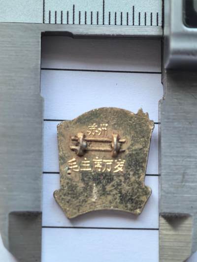 综合藏品场.喜欢出价就得！无套路无托.诚信惠友交友！自动快拍. 红色像章.直径约12MM.保真包老品相不错..实图拍摄.喜欢的朋友请出价吧！