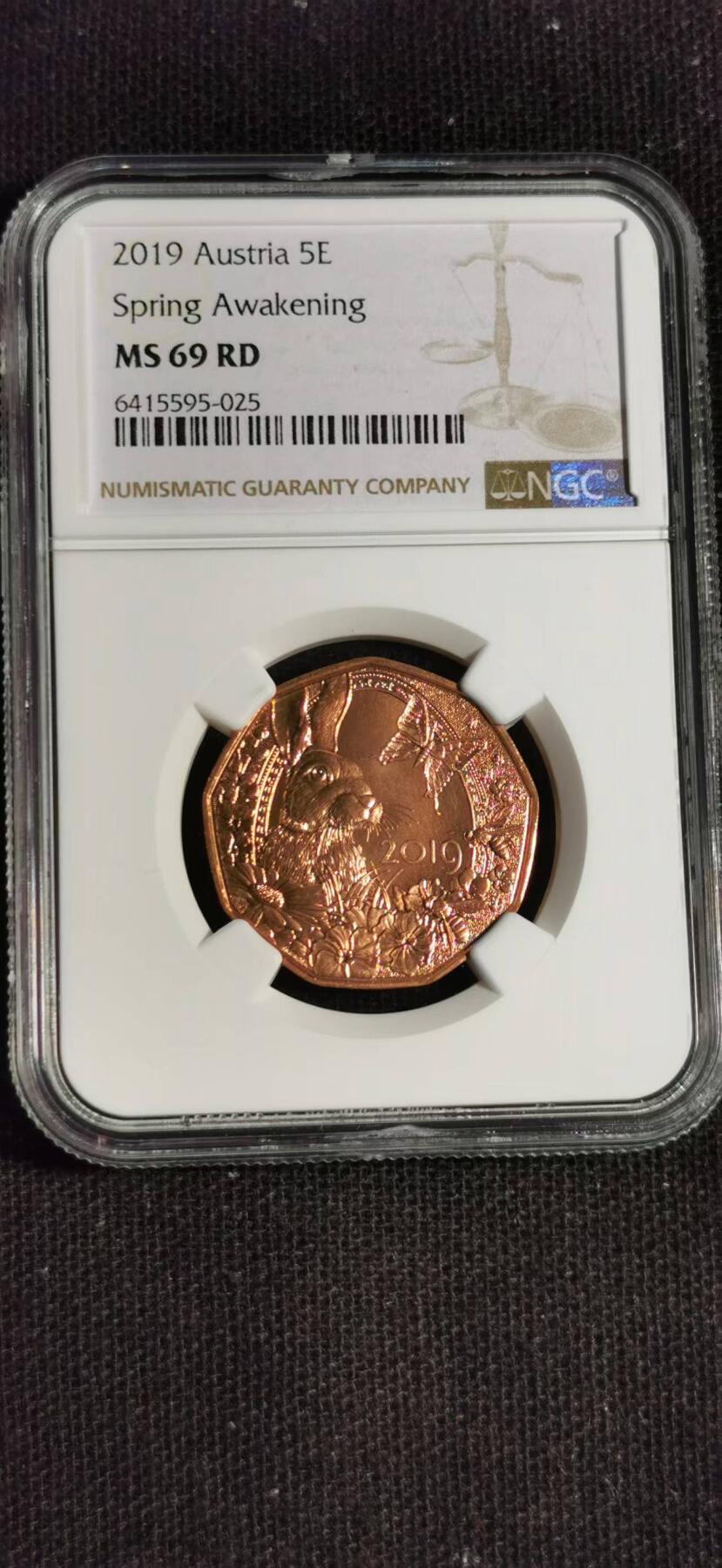 刘世昌艺术品销售中心～虎踞龙蟠*金杨在线联拍群第517期 奥地利2019年“复活节的兔子”5欧元九边形铜质纪念币(NGC    MS69RD    串号：6415595-025）1枚。