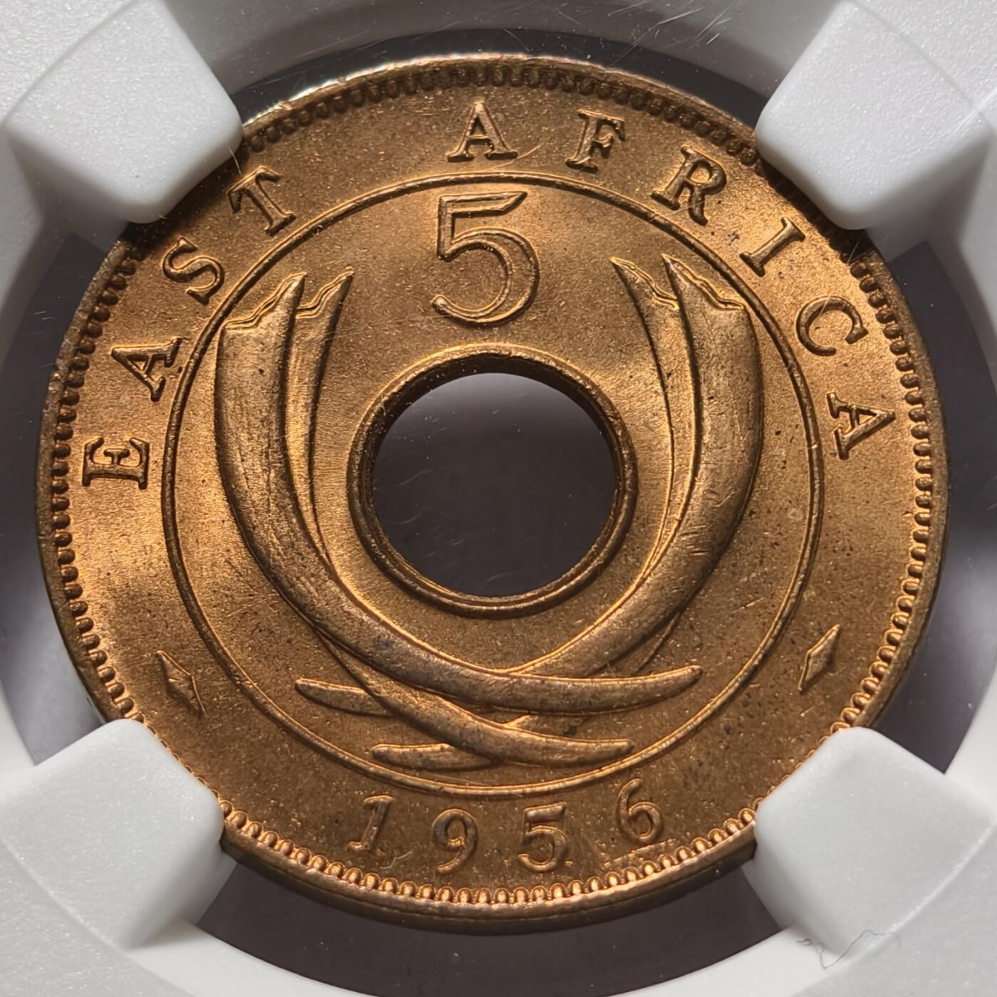 紫瑗钱币——第524期 英属东非 1956年 H版 伊丽莎白二世 5分 红铜币 NGC MS65 RB