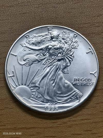 思丞钱币收藏第二期，投资银币 世界各国钱币 - 美国1995年一盎司投资银币999纯银