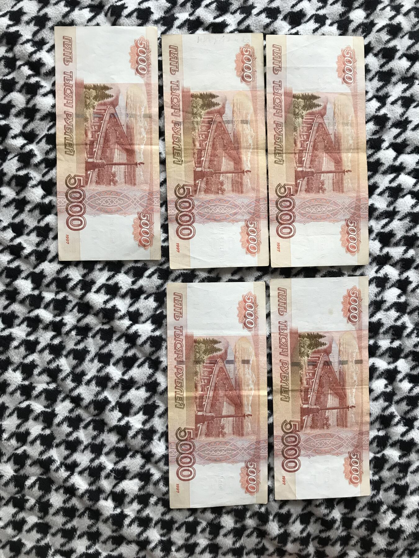 俄罗斯5000紫熊