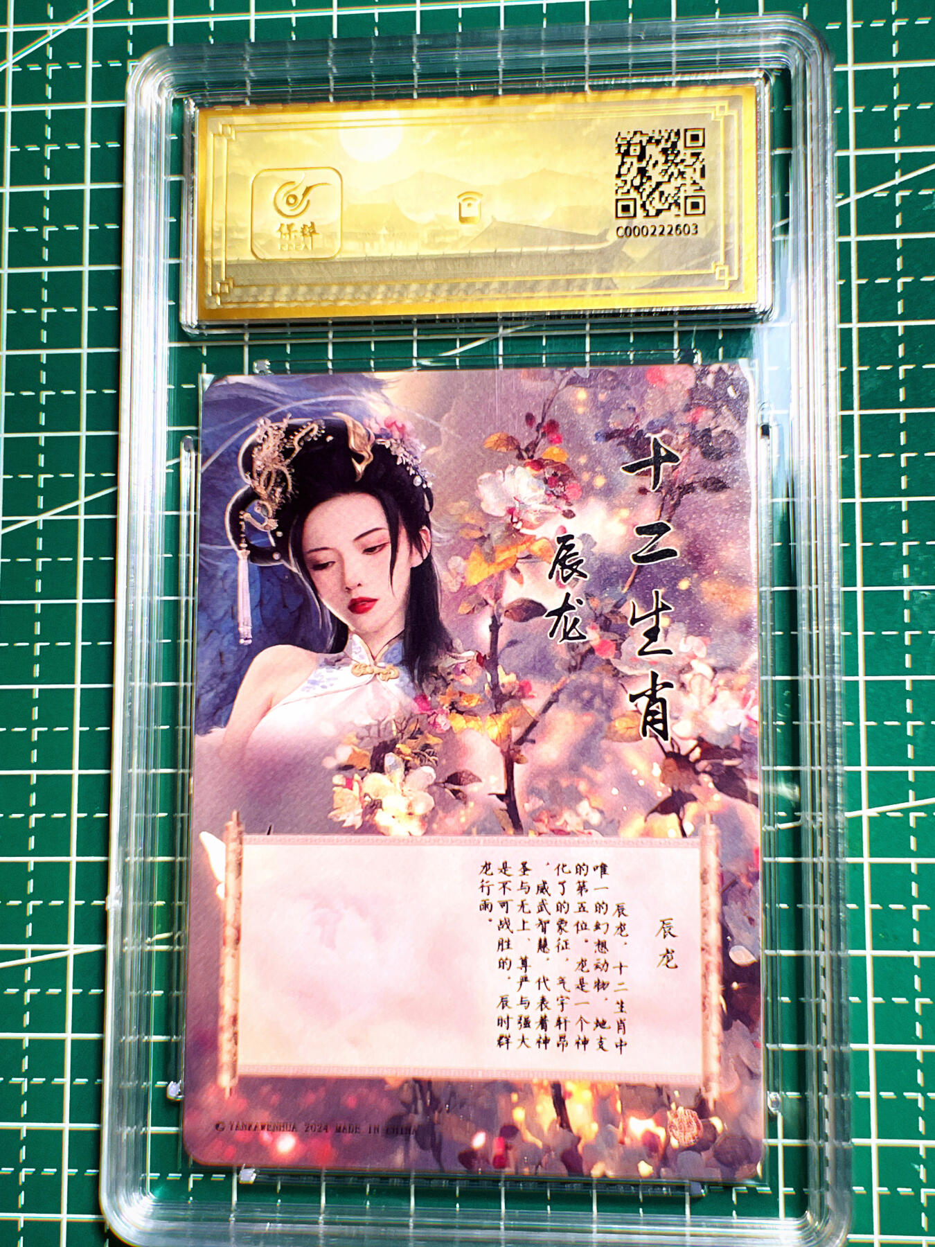 显眼宝第七期 私人收藏卡 【评级卡】保萃 辰龙腿长1.8米 颜值更是无敌