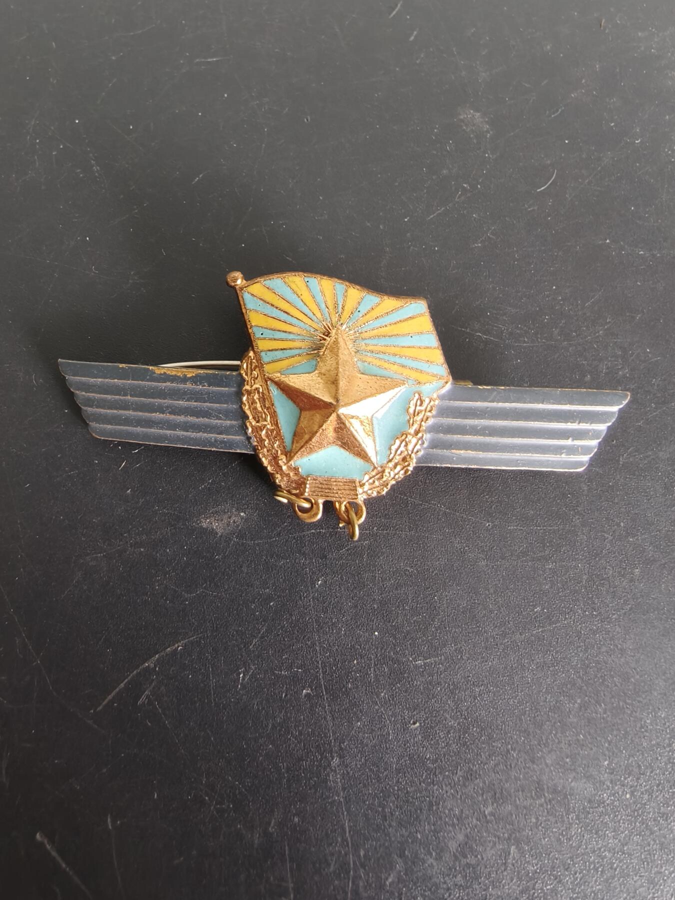 老王徽章第108期