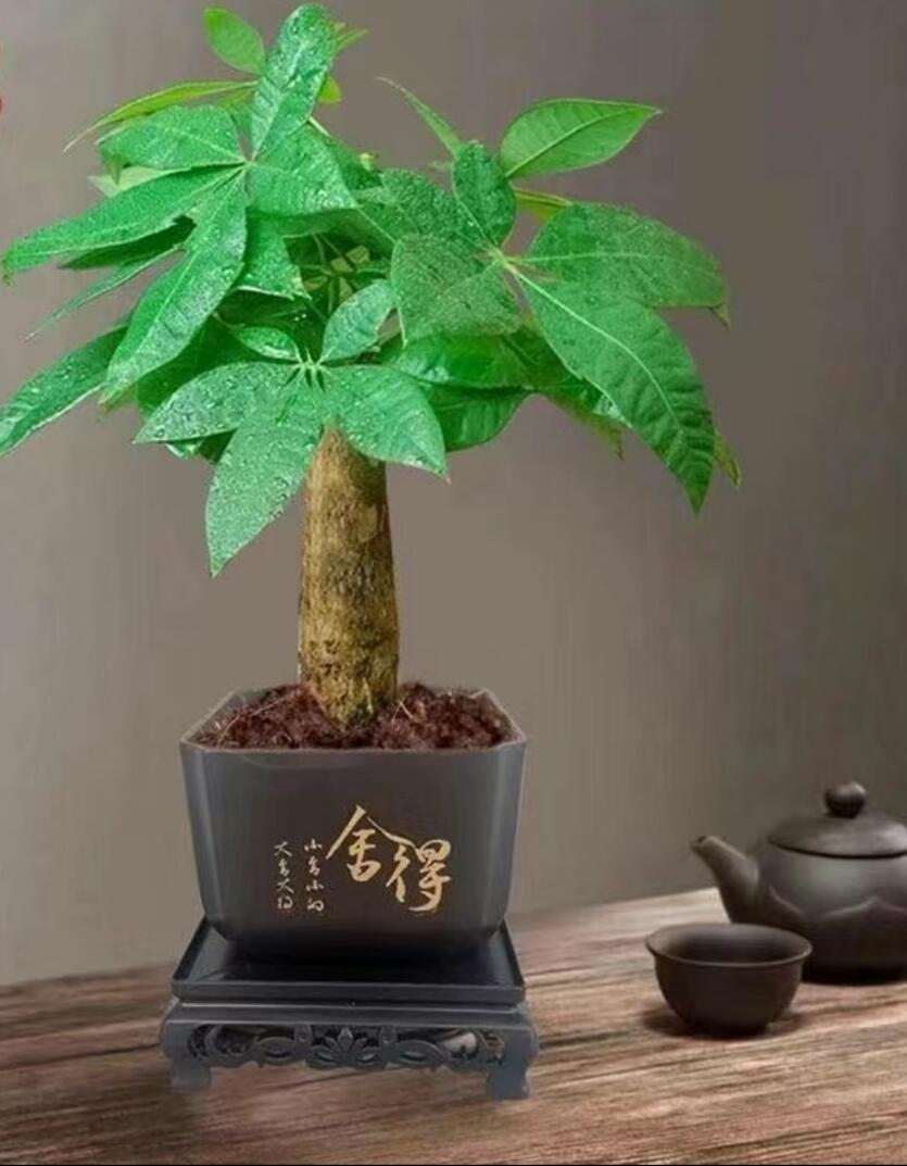 马爹利、轩尼诗、人头马、老酒、玉石专场