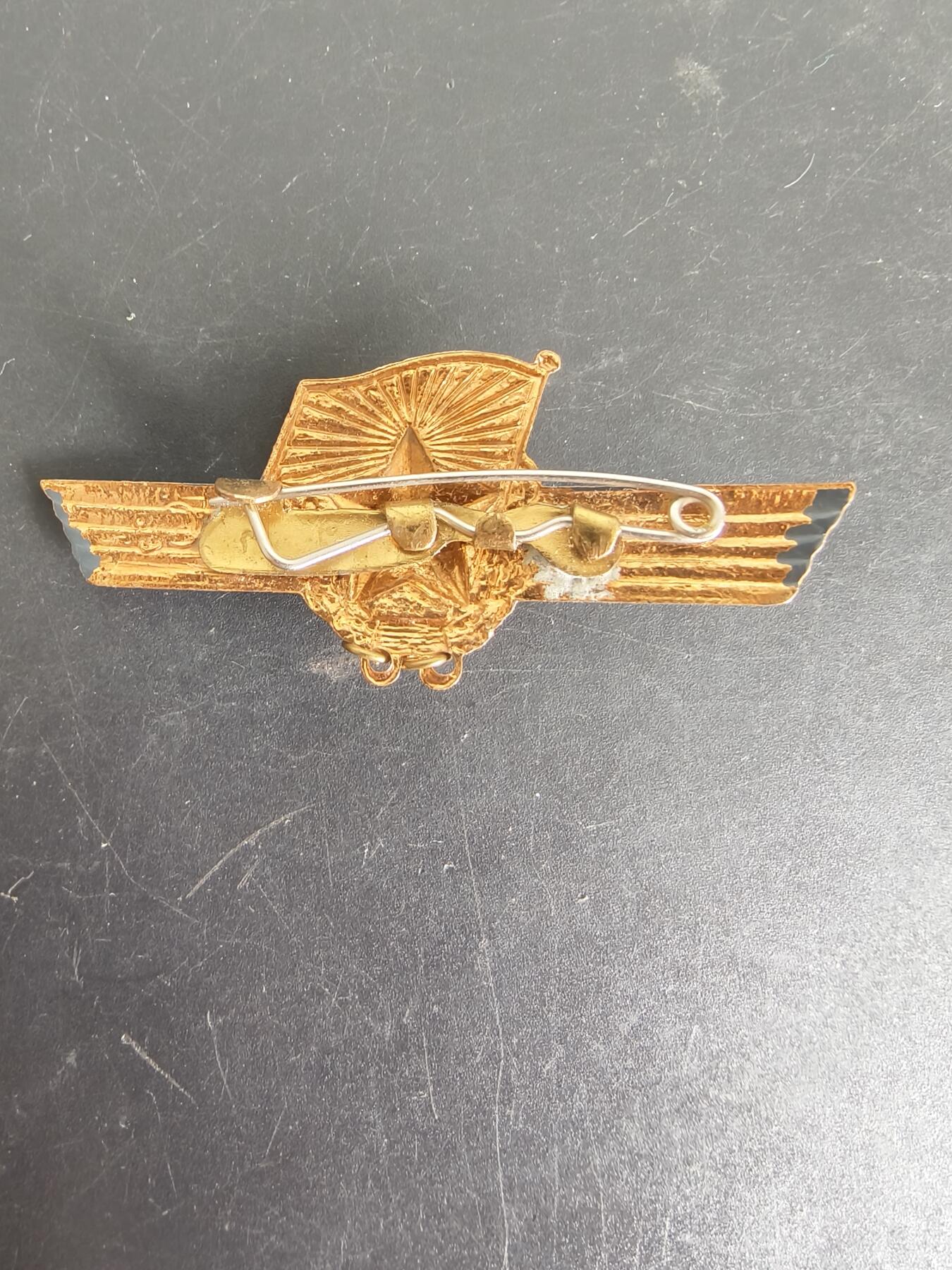 老王徽章第108期