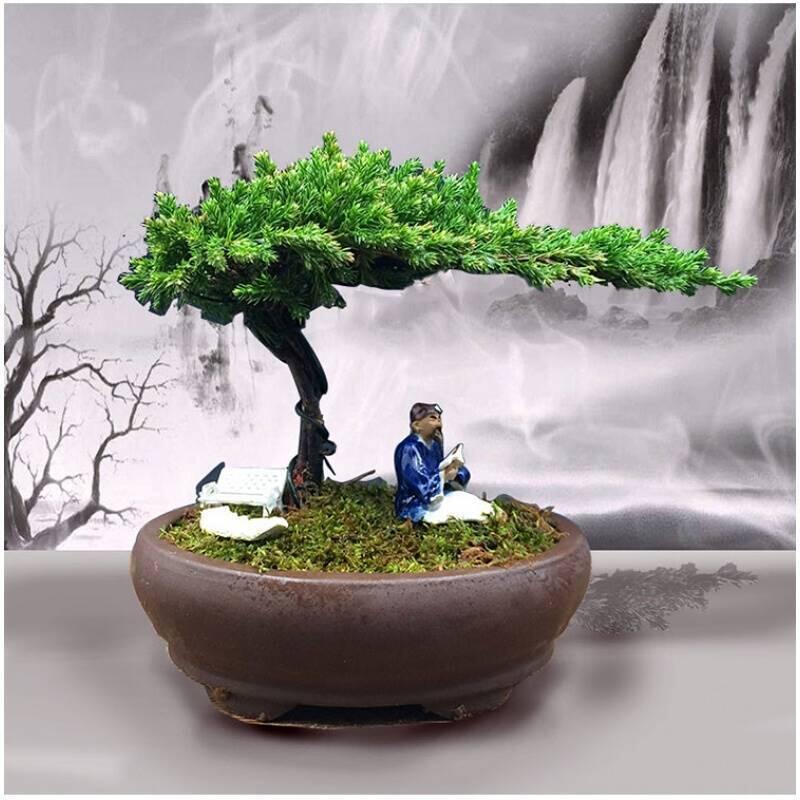 马爹利、轩尼诗、人头马、老酒、玉石专场
