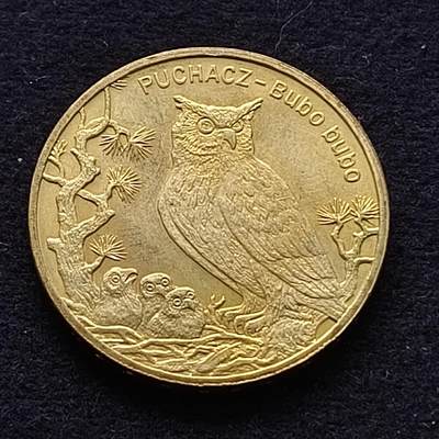 0起1加再包邮-纯粹捡漏拍-414波兰2000年后纪念币专场 - 波兰2005年2兹罗提动物系列鹰鸮纪念币