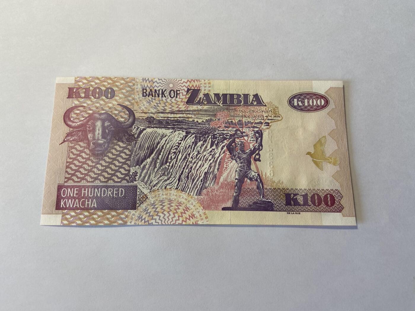 世界各国纸币专场，第五期 赞比亚100克瓦查，全新