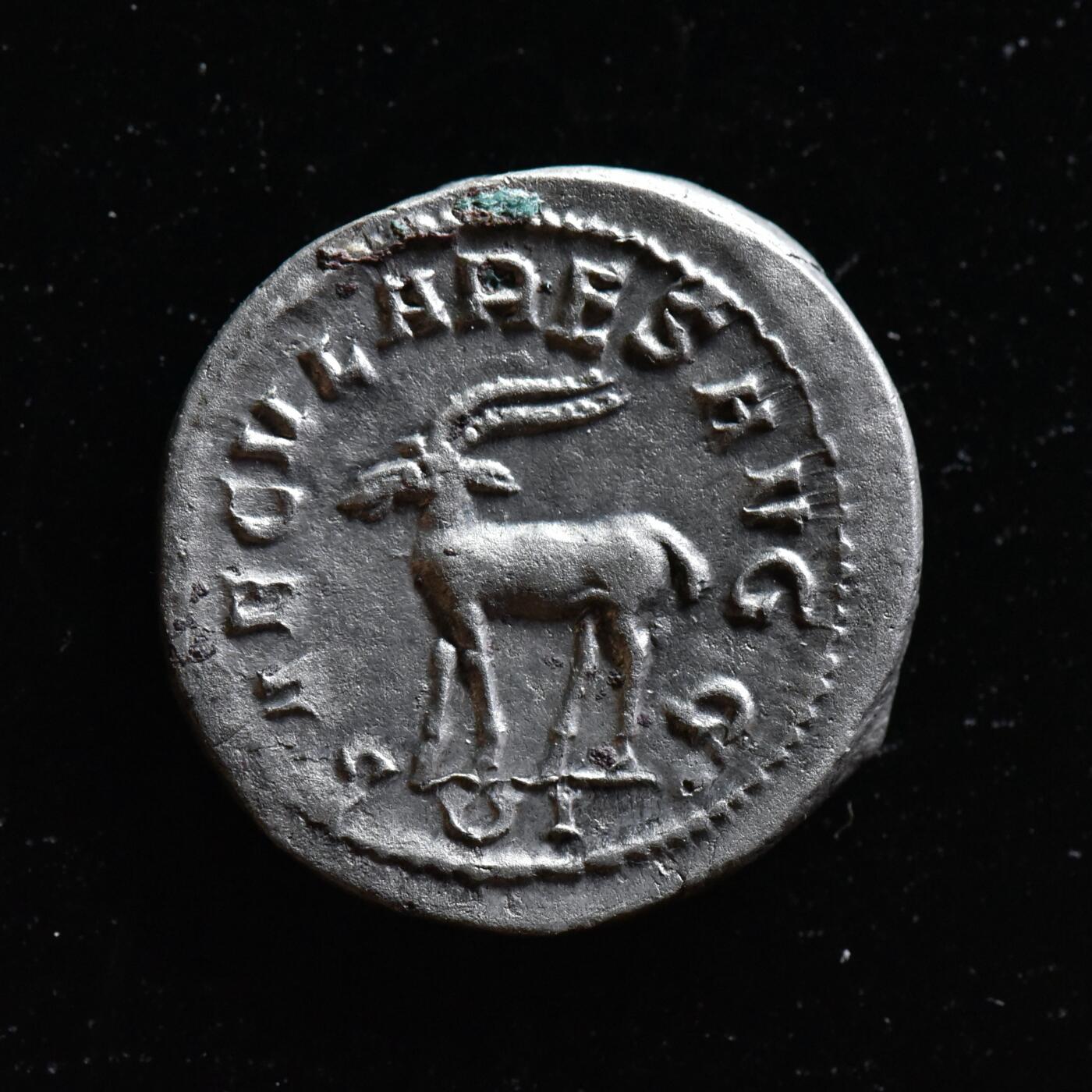 【良泉】【直播场】第三十期，4月24日晚19.30点开拍！200组，西方古代钱币、古代印章专场（本场结束后，本月寄存物品需要邮寄清空，有寄存的朋友请注意）